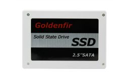 SSD Goldenfir
