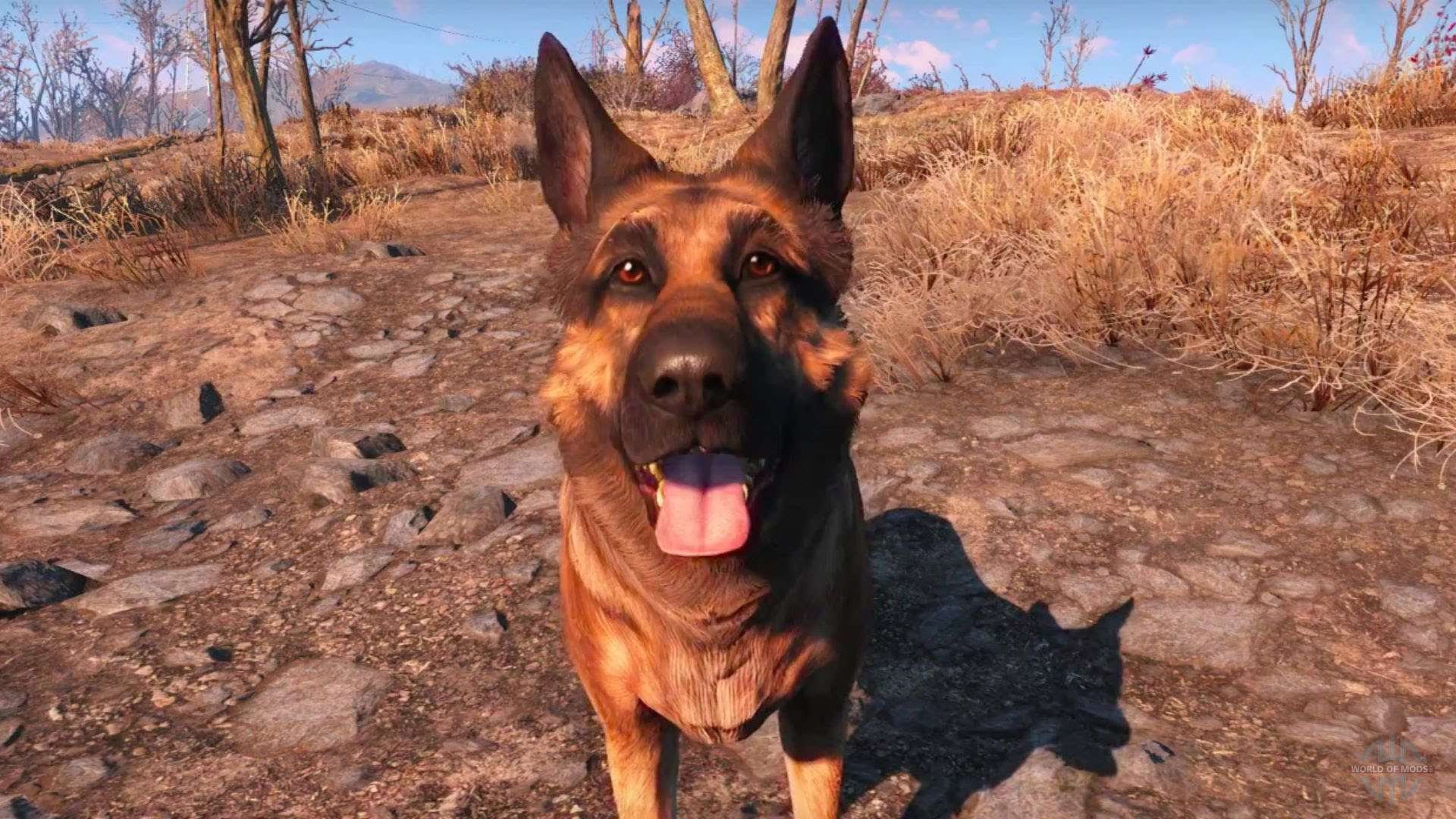 Fallout 76 mascotas