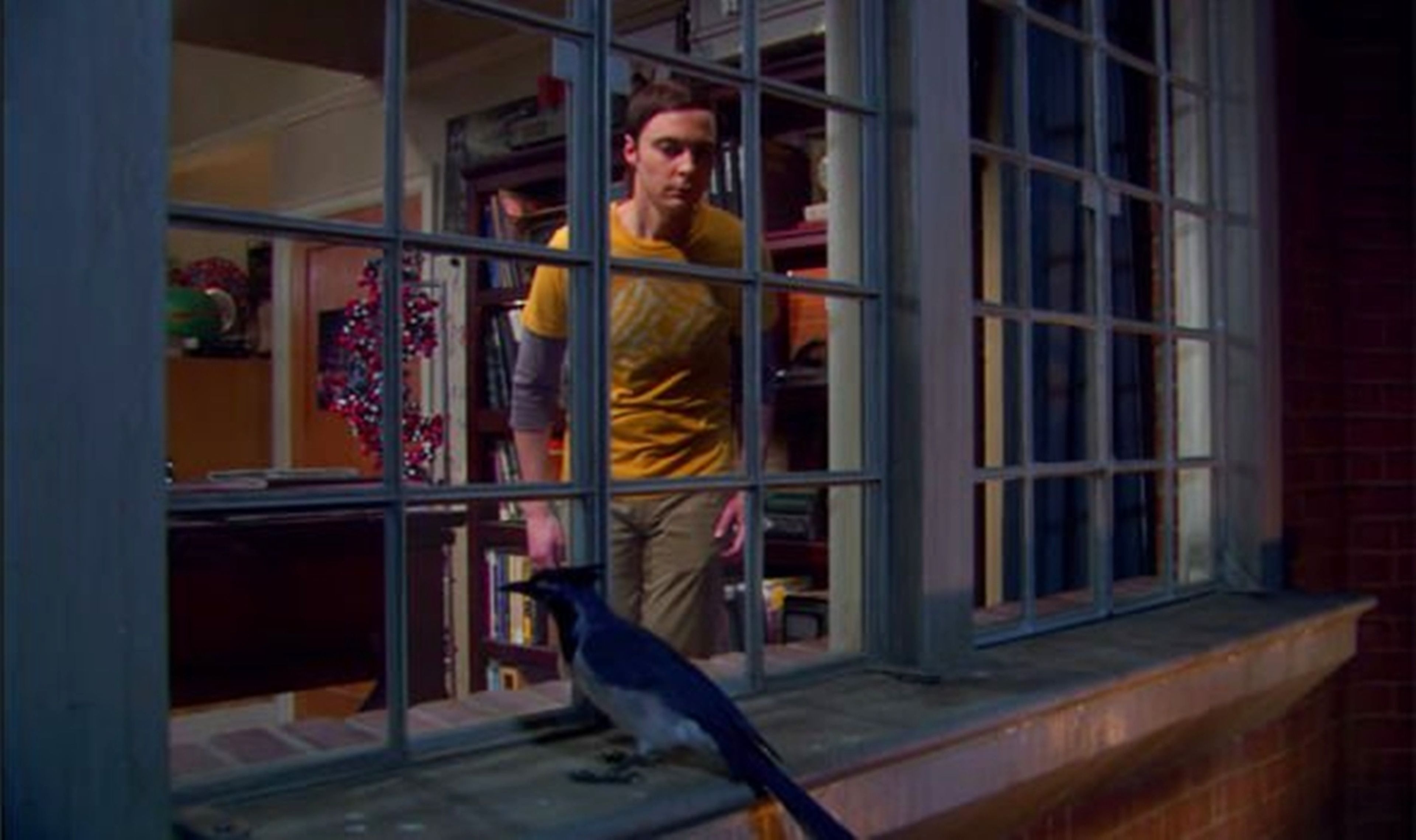 The Big Bang Theory - Sheldon y el pájaro