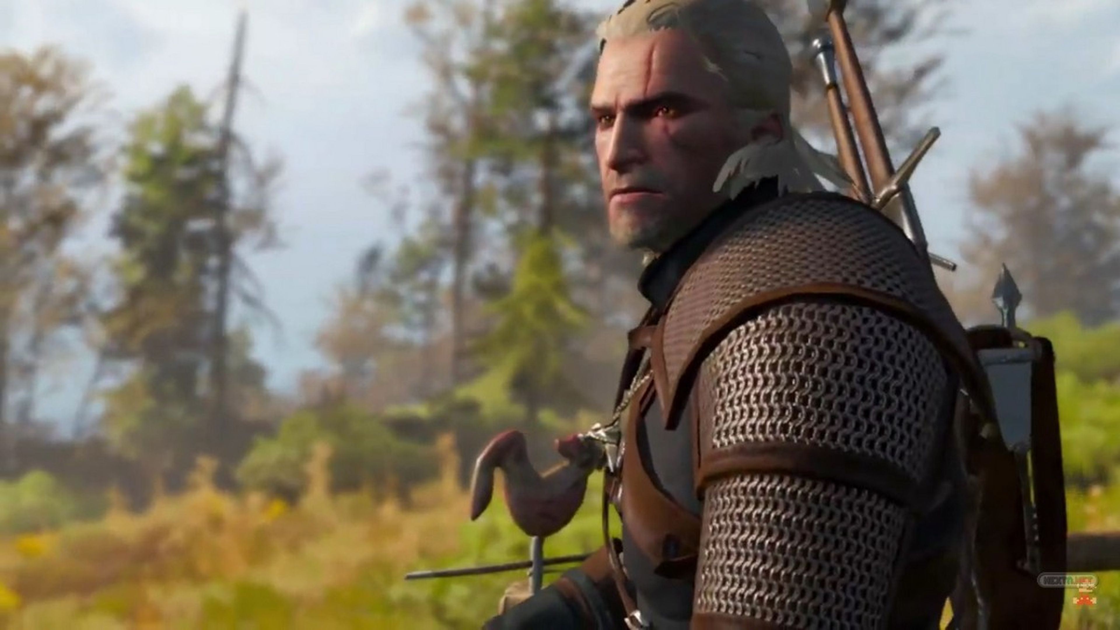 The Witcher 3 Switch
