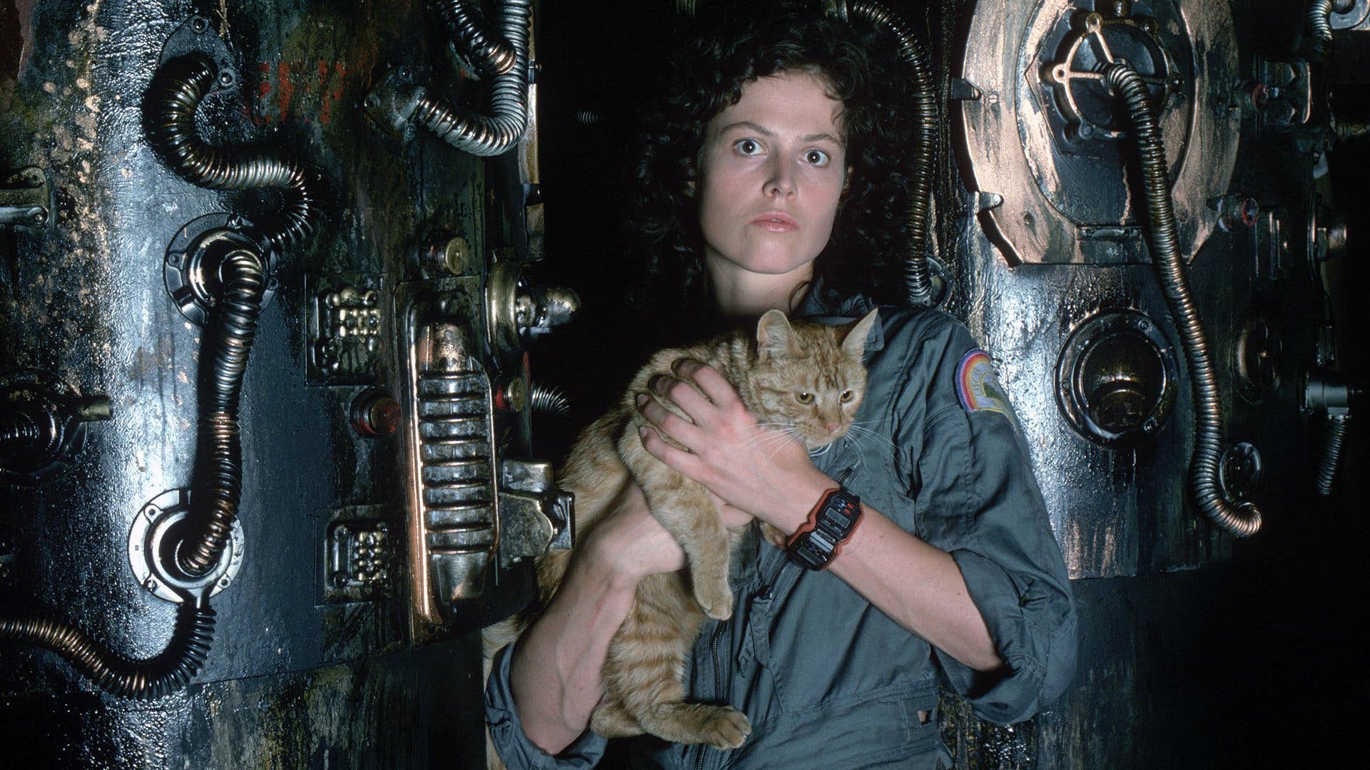 Siguourney Weaver, la eterna heroína de Alien, cumple hoy 71 años