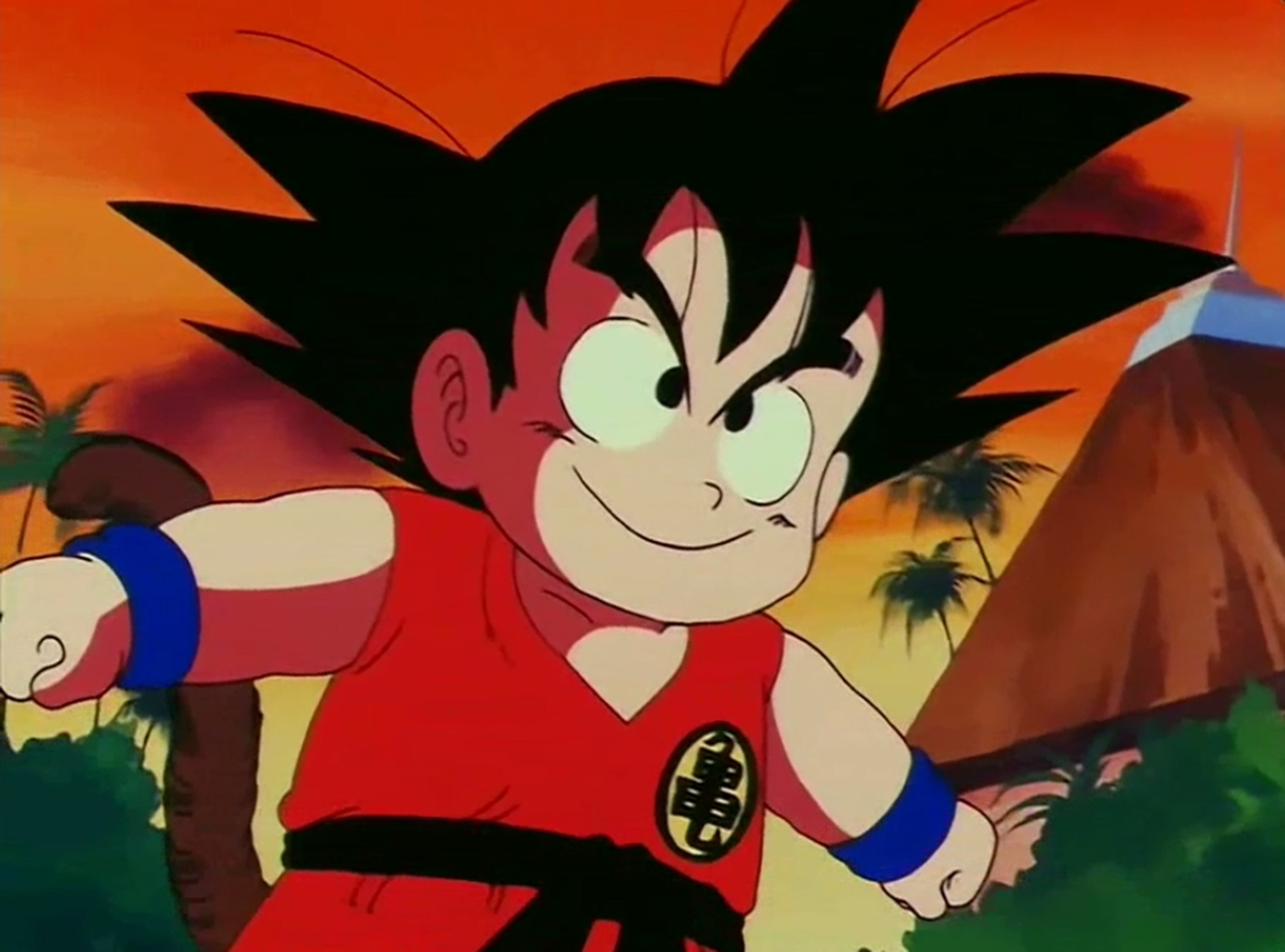 Dragon Ball - Goku en el 21 Tenkaichi Budôkai