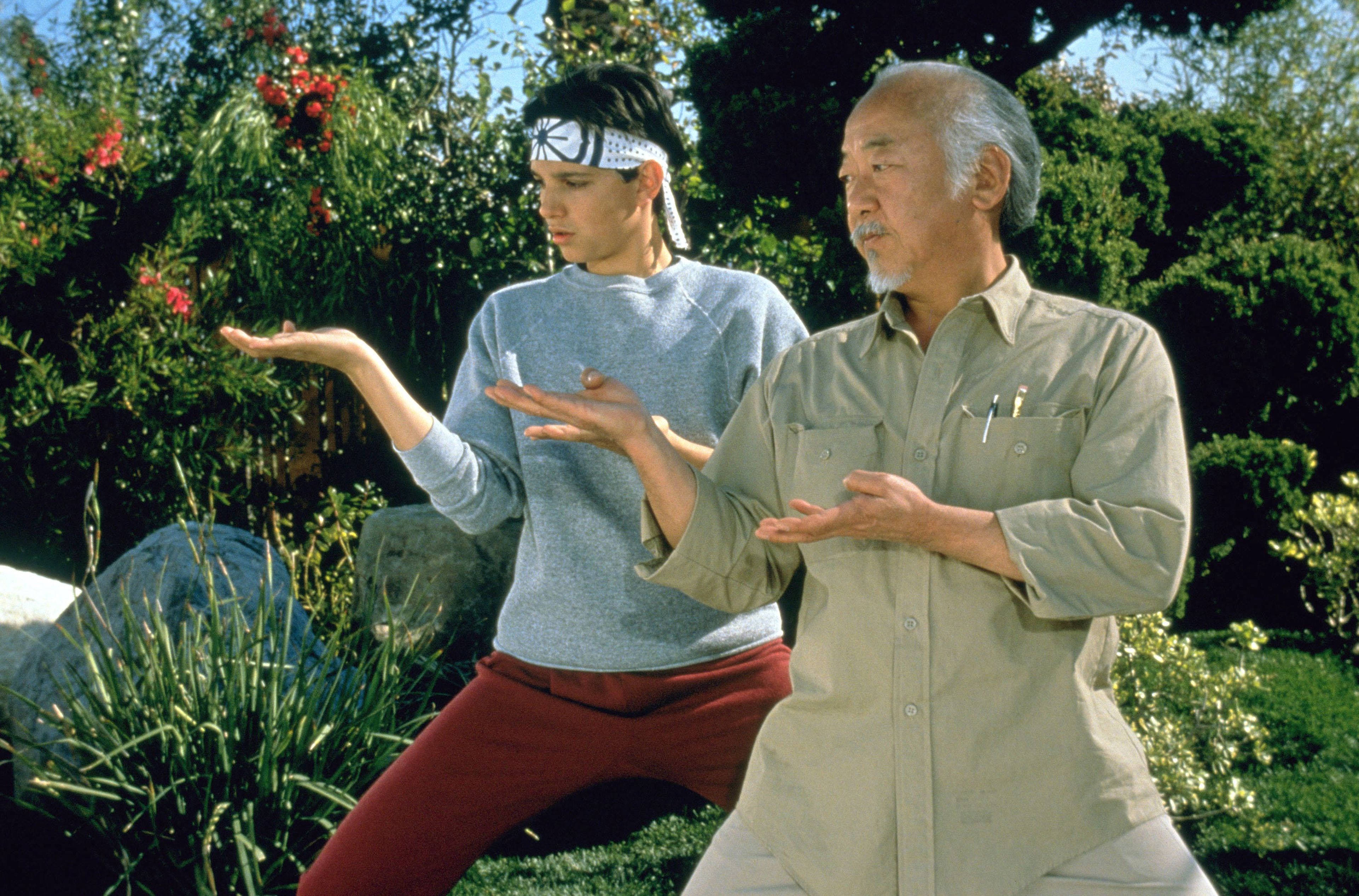 Karate Kid - El señor Miyagi