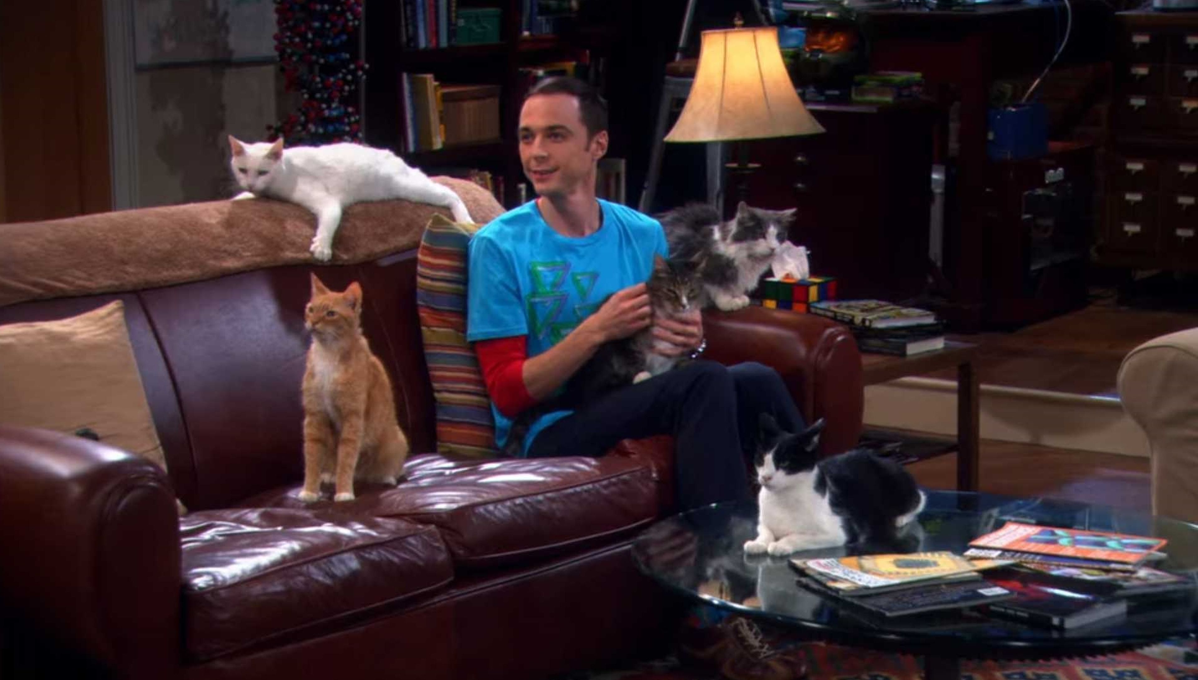 TBBT - Sheldon y los gatos