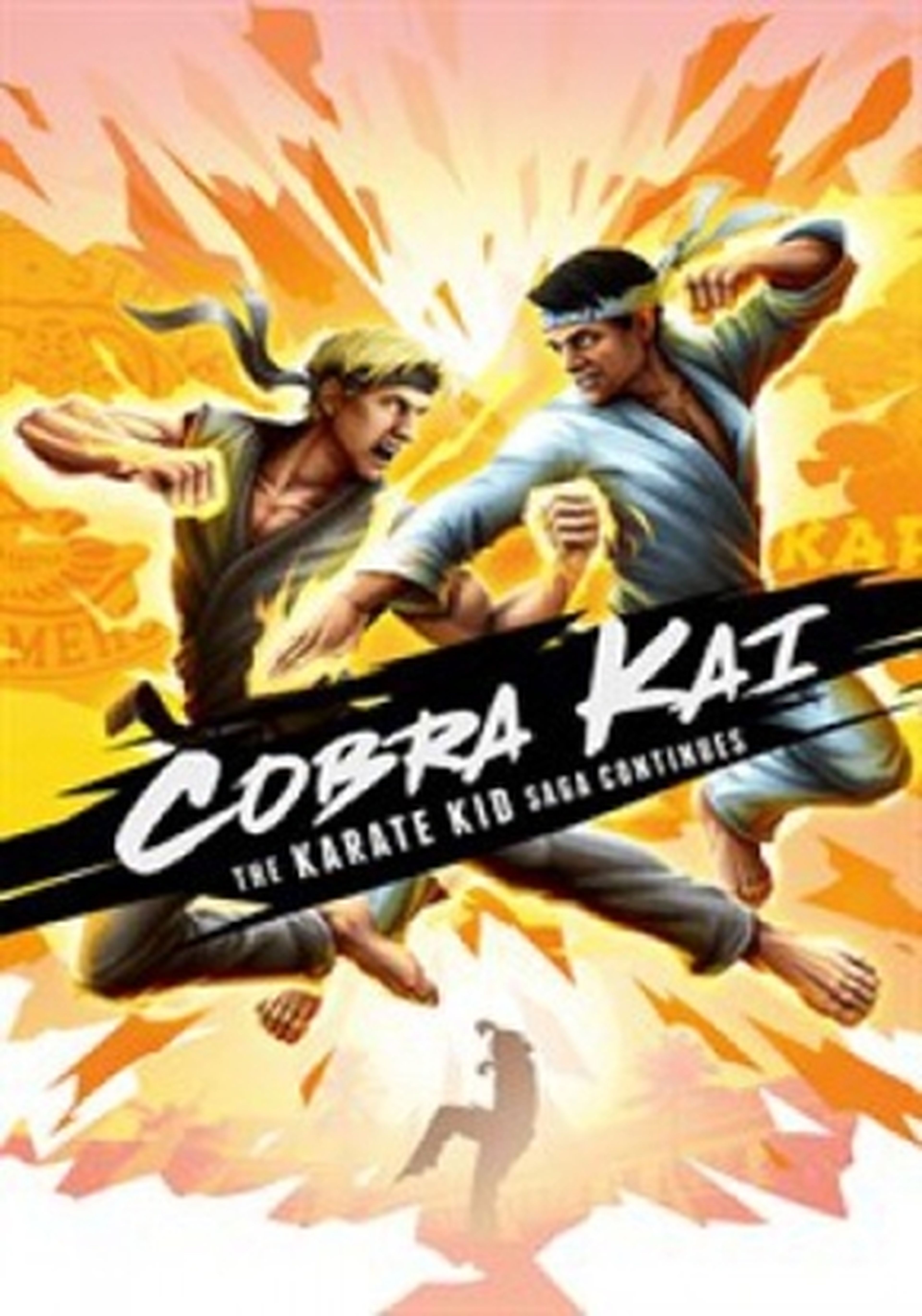 Cobra Kai The Karate Kid Saga Continues cartel