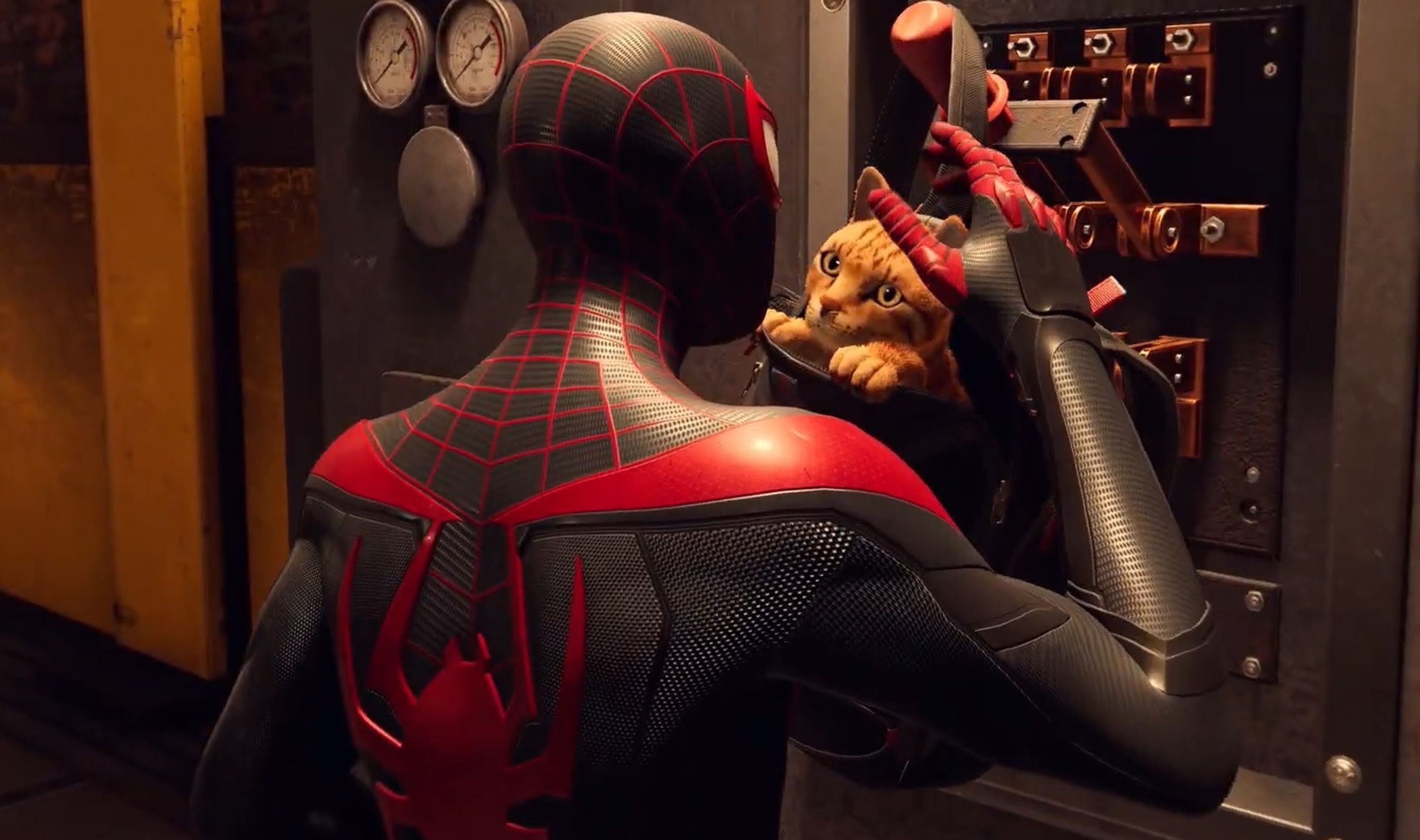 spider-man miles morales gato spider-cat