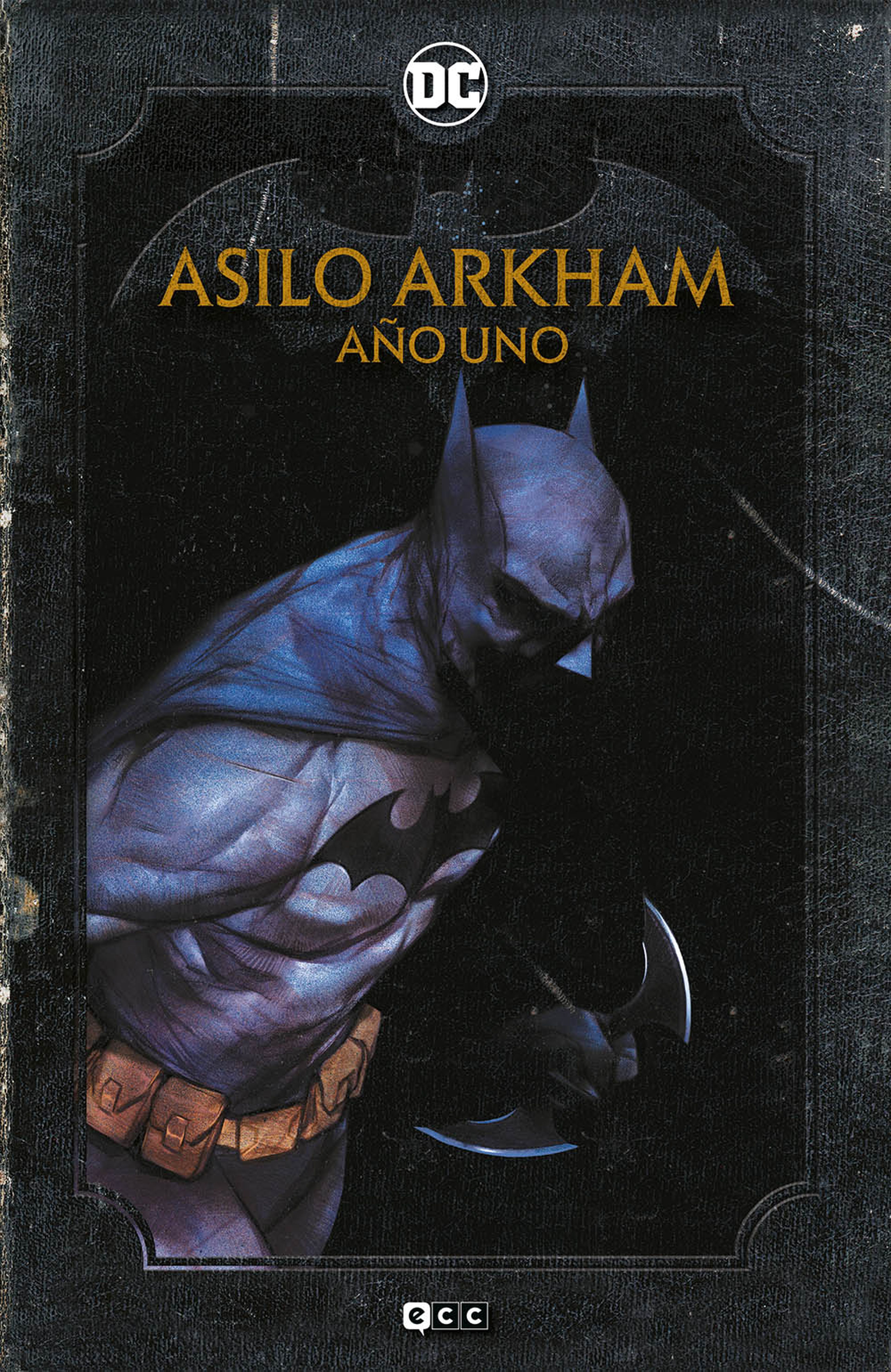 Póster de Asilo Arkham: Año Uno (DC Comics)