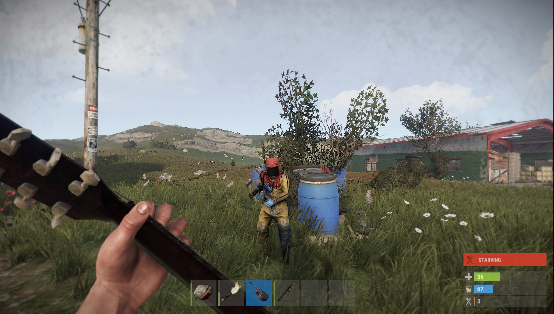 Купить Игру Rust Steam