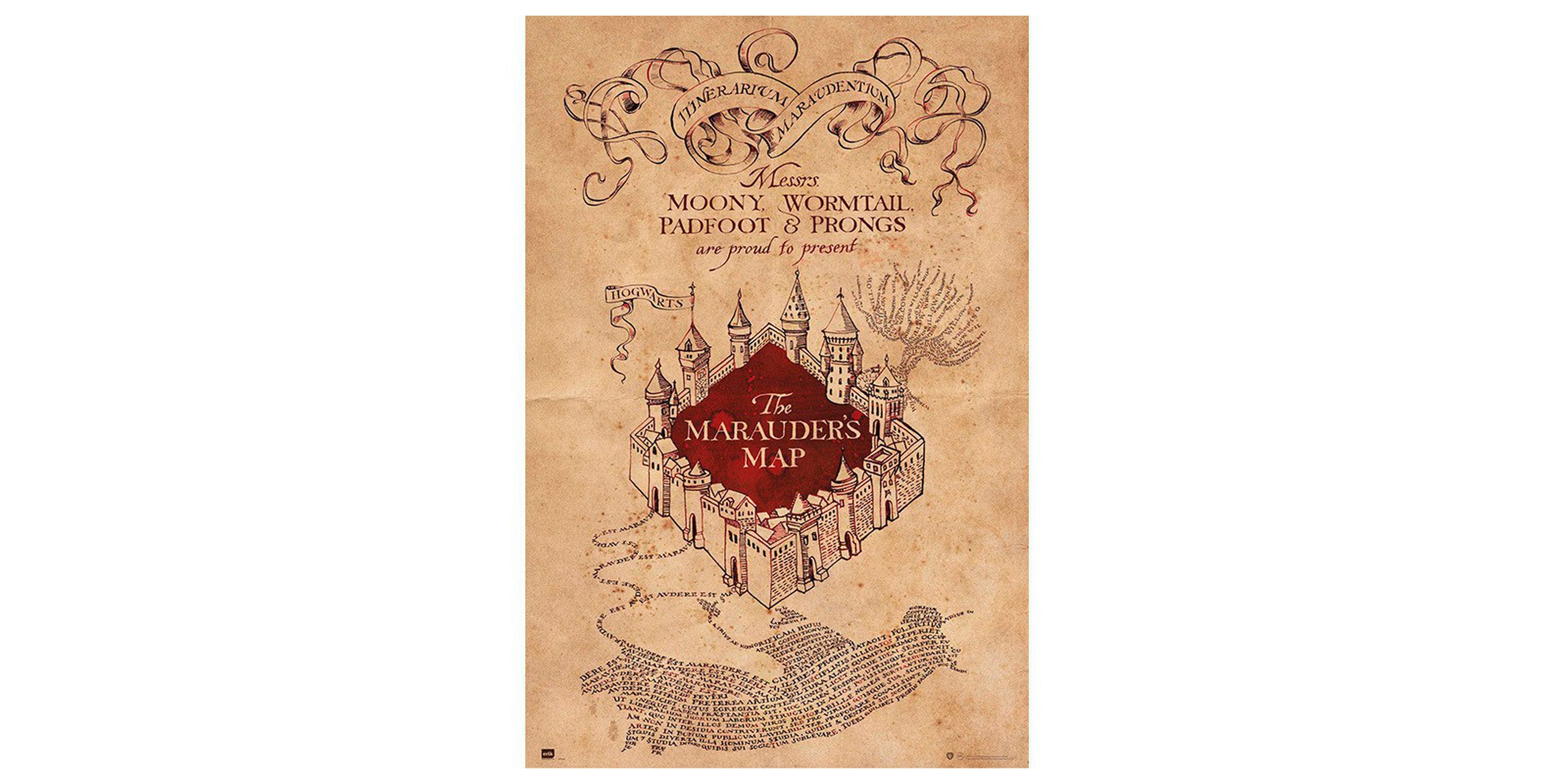 Mapa especial Harry Potter GAME