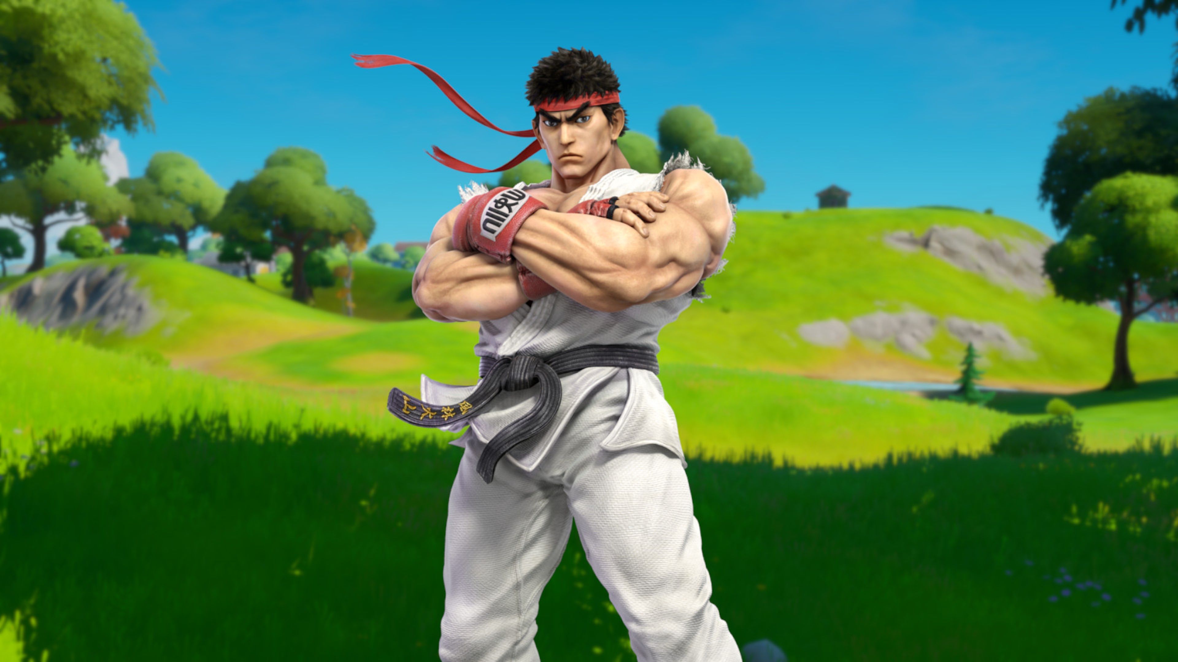 Ryu Fortnite Street Fighter
