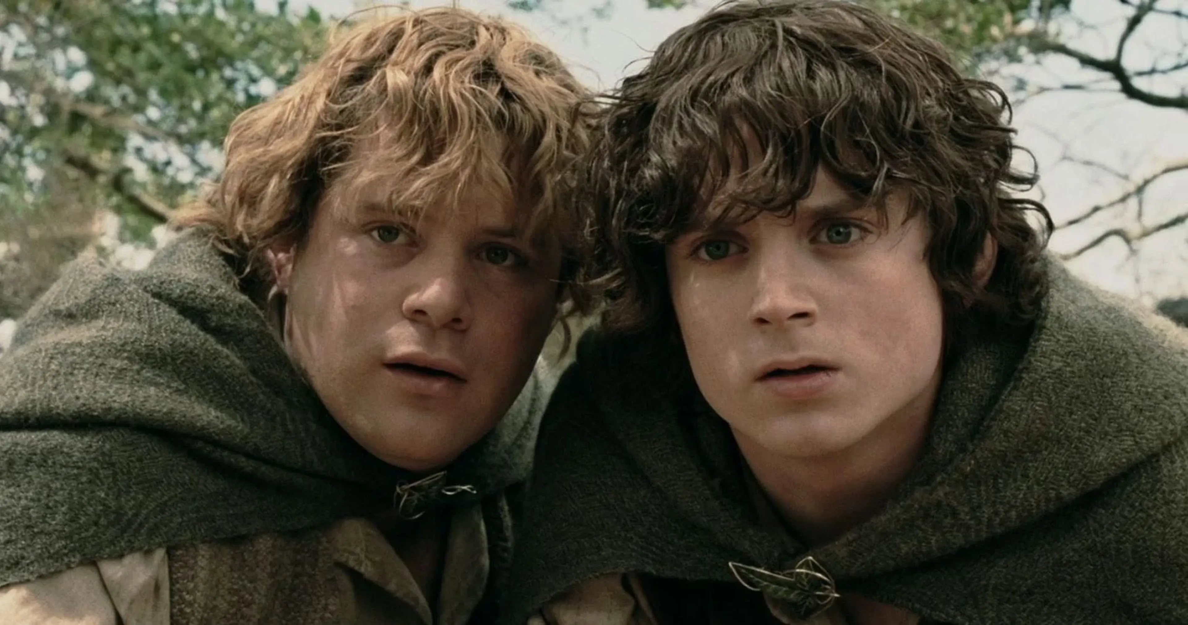 Sam y Frodo en El señor de los anillos