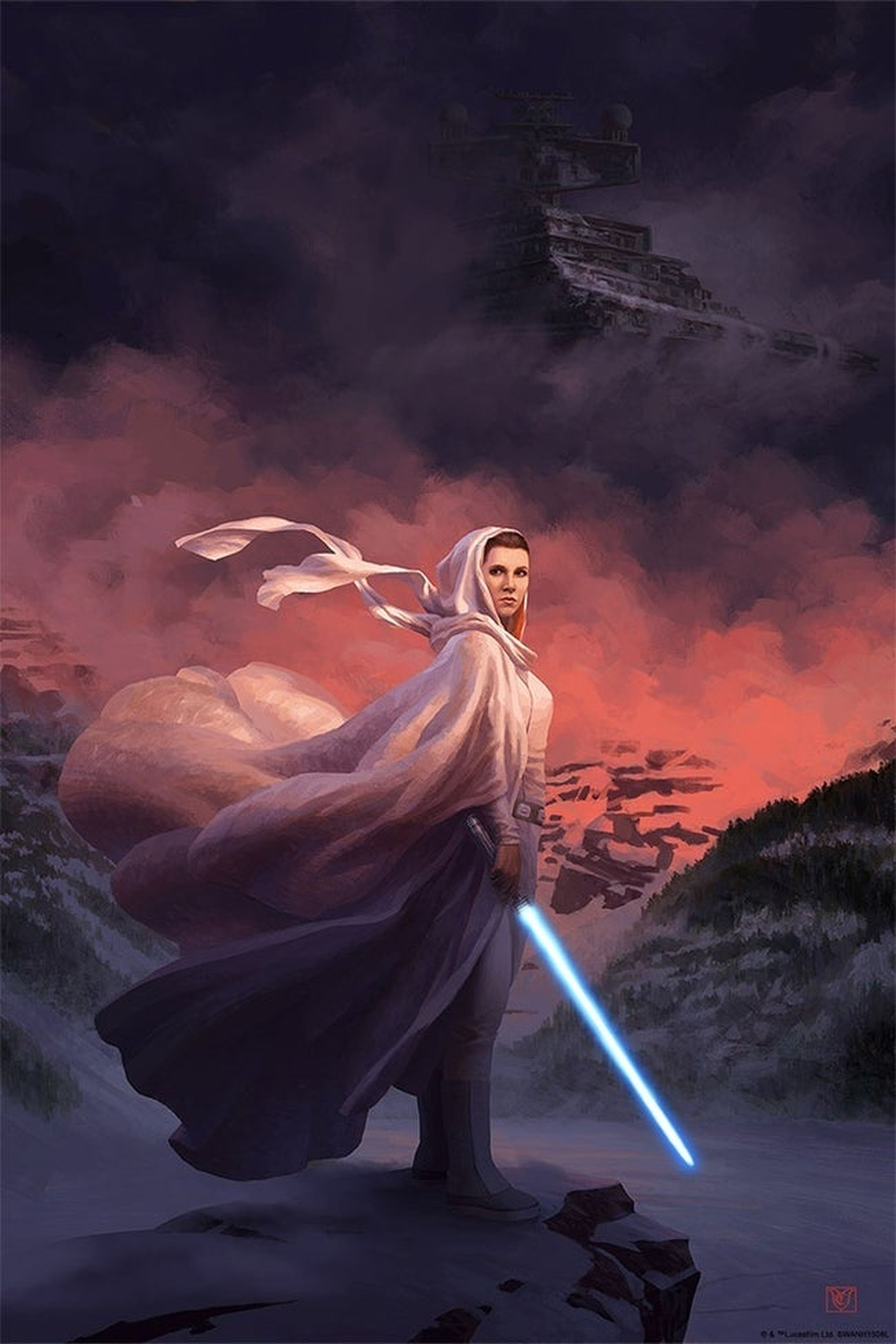 Star Wars - Ilustracion Princesa Leia
