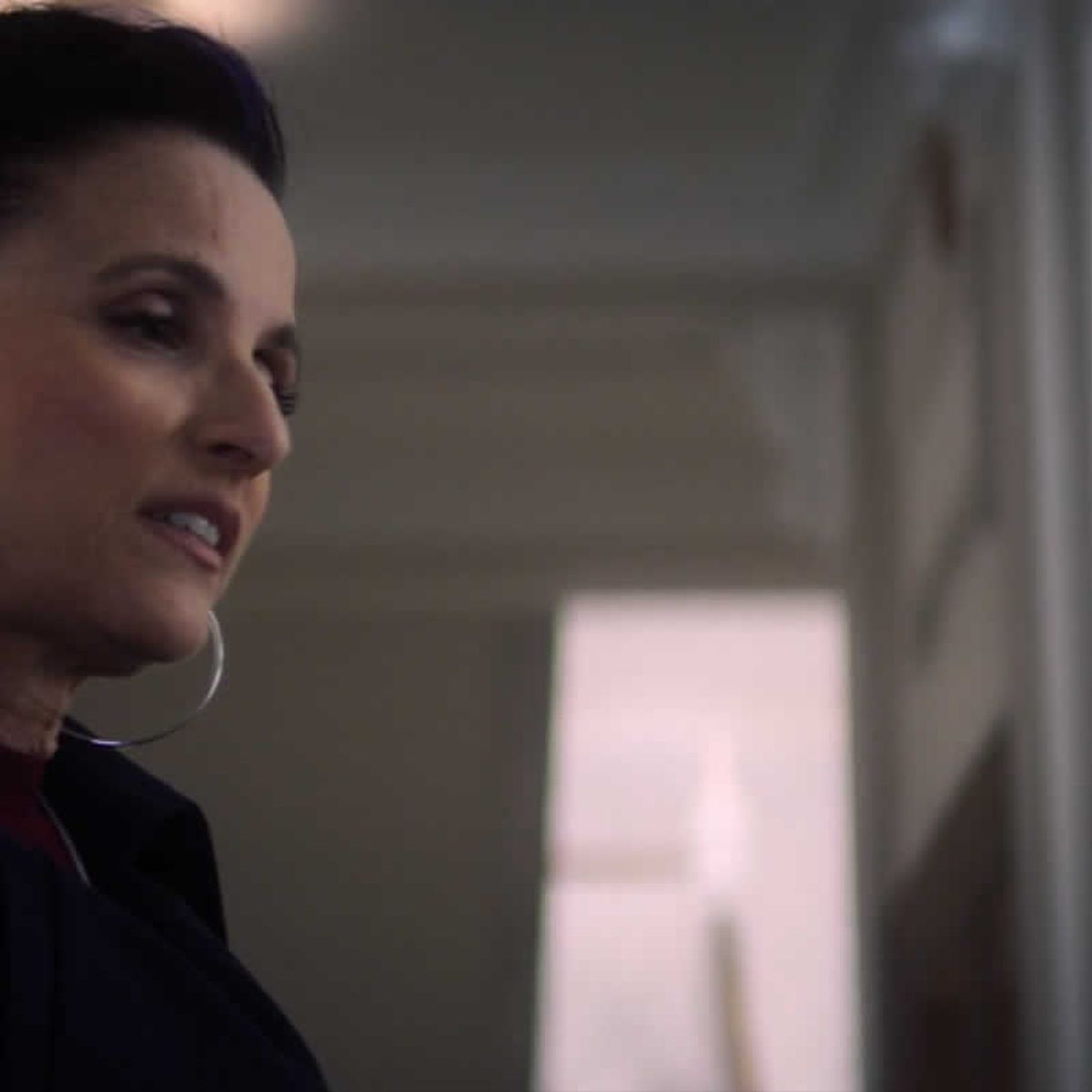 ¿Quién es el personaje de Julia Louis-Dreyfus en Falcon y el Soldado de  invierno en los cómics de Marvel?