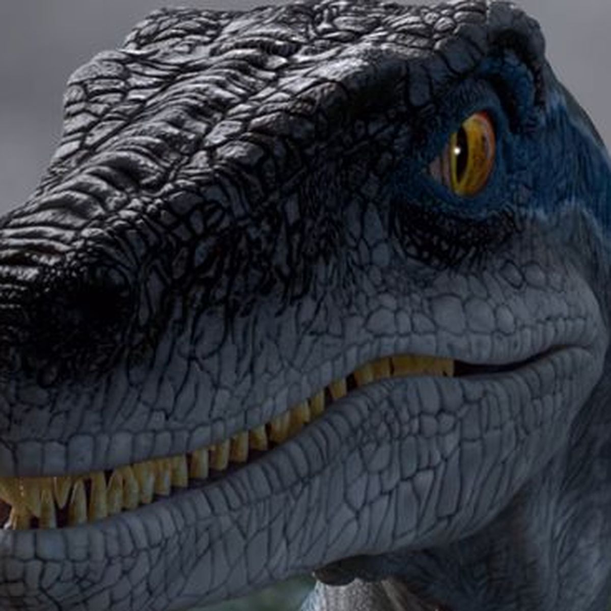 Jurassic World: Camp Cretaceus revela qué pasó con el velocirraptor Blue  antes de El reino caído