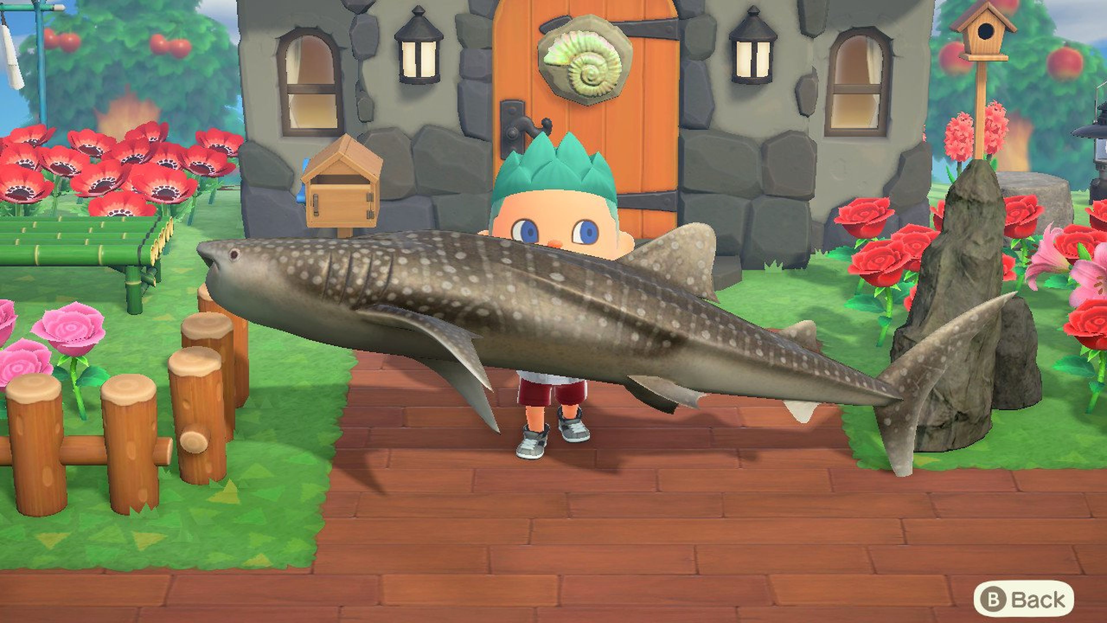 Animal Crossing tiburones