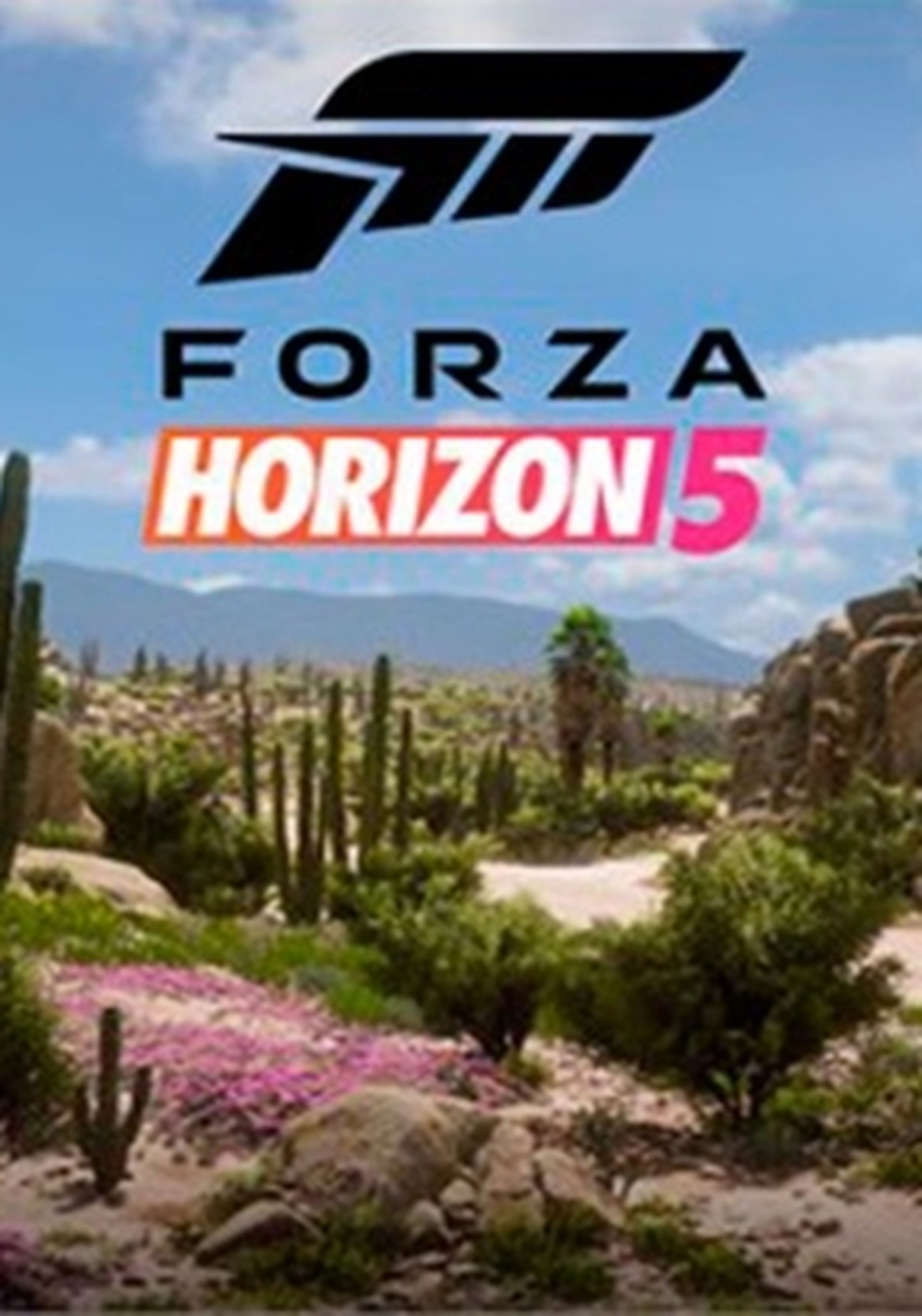 Forza Horizon 5 cartel