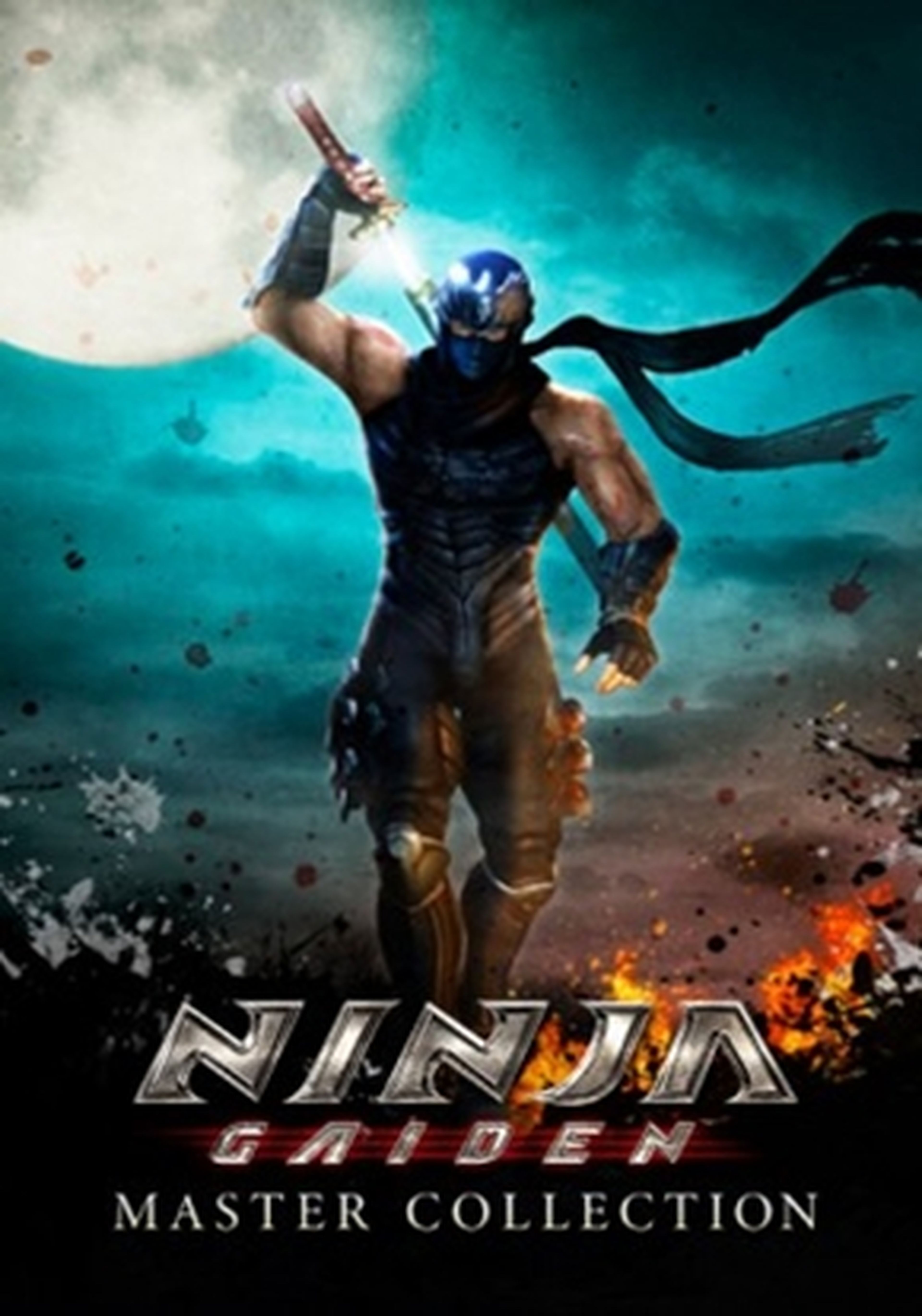 Ninja Gaiden Master Collection cartel