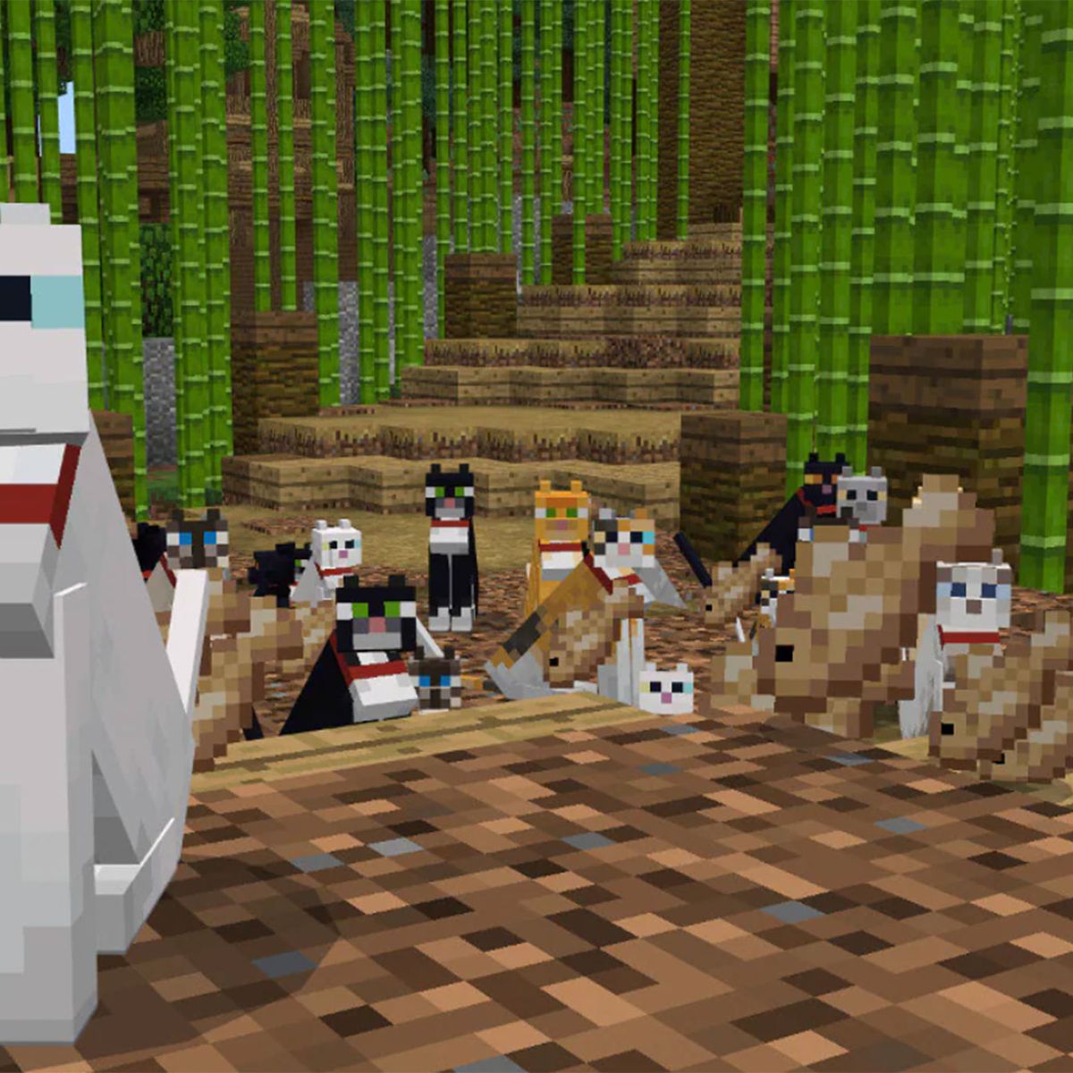 Cómo domesticar gatos en Minecraft: el mejor lugar para encontrarlos