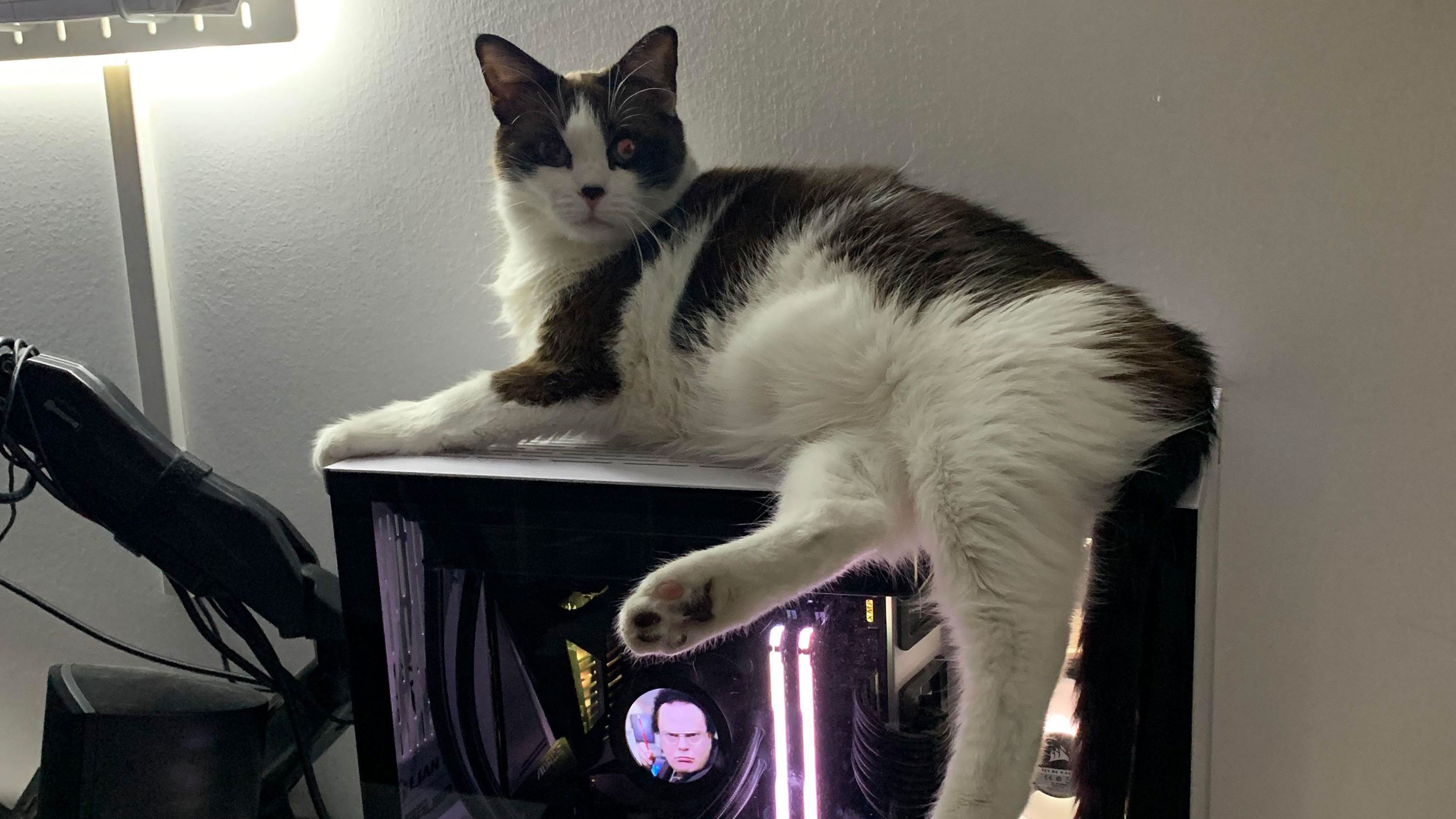 Gato sobre torre de ordenador