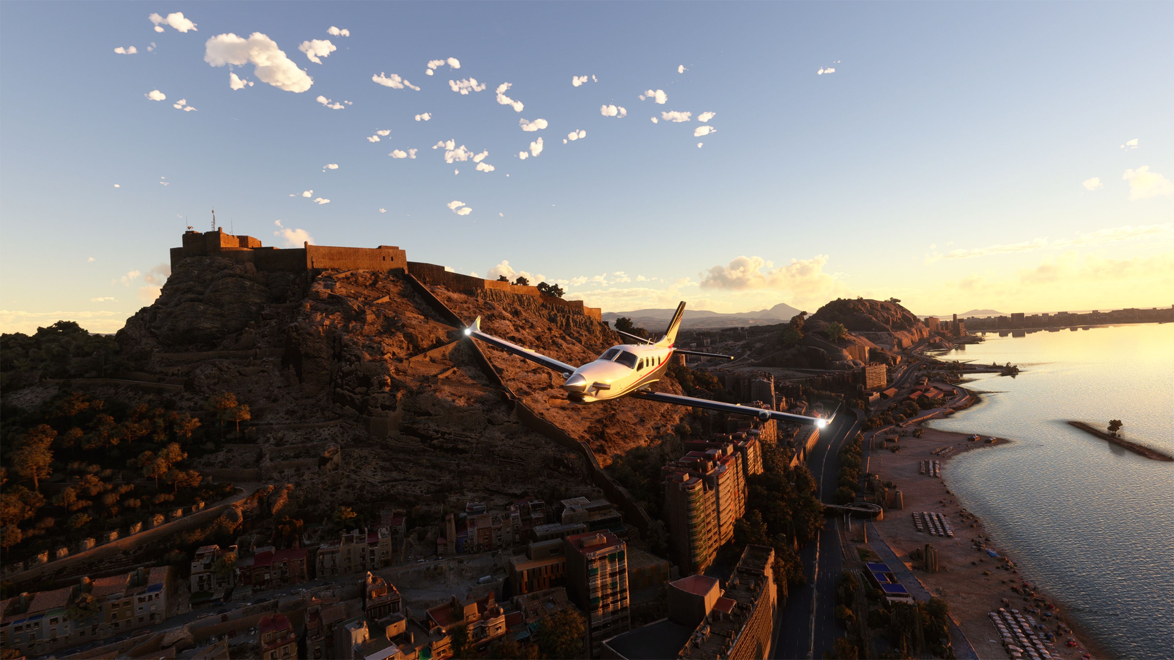 Flight Simulator 03