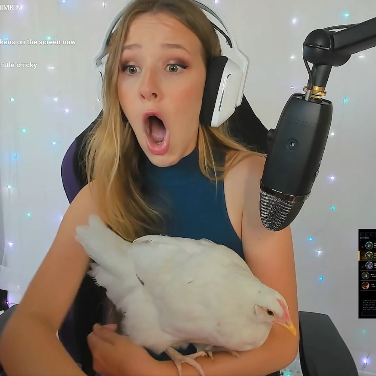 Streamer enseña a su gallina en directo en Twitch y ocurre una asquerosa  catástrofe