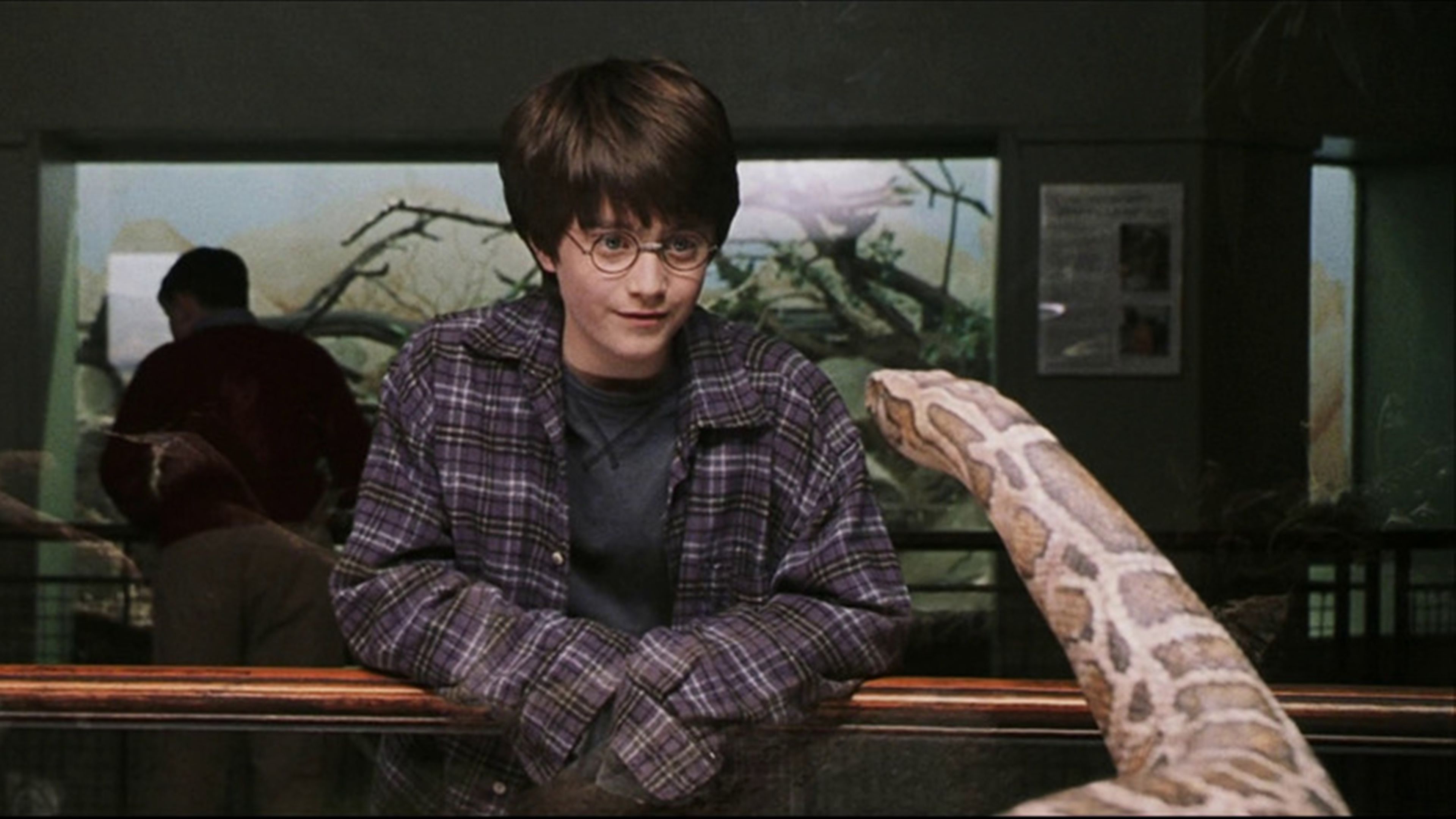 Harry Potter hablando con la serpiente en La piedra filosofal