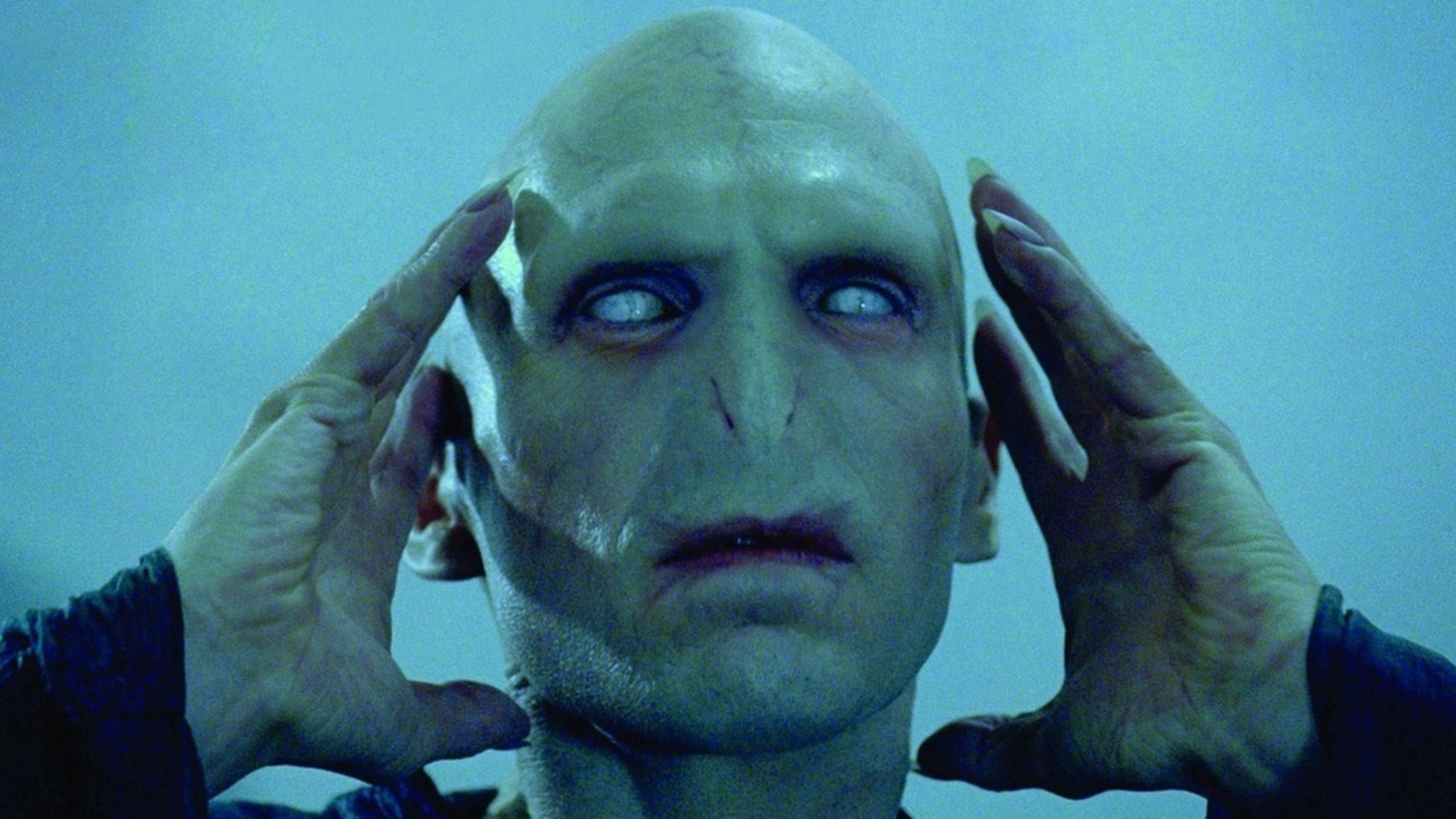 Harry Potter - Los ojos de Voldemort