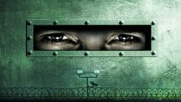 The best prison series: Vis a vis, Wentworth, Prison Break...