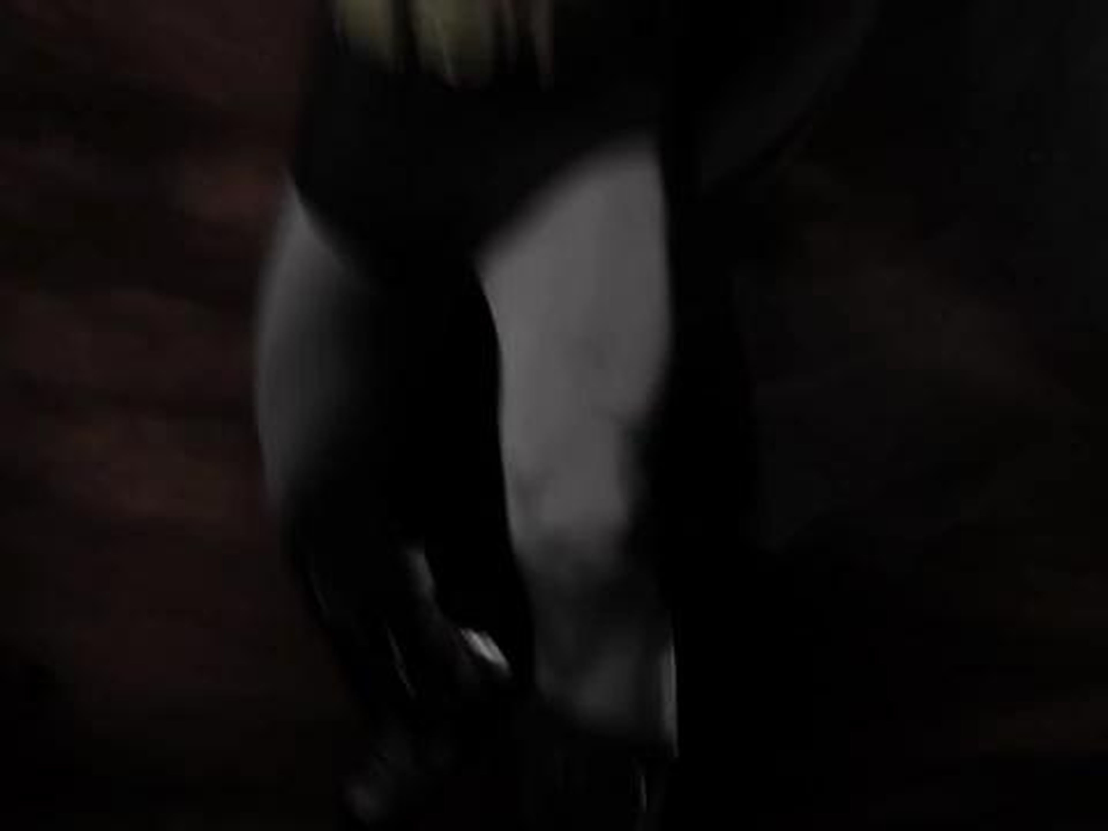 Recrean la intro de Batman: la serie animada en imagen real