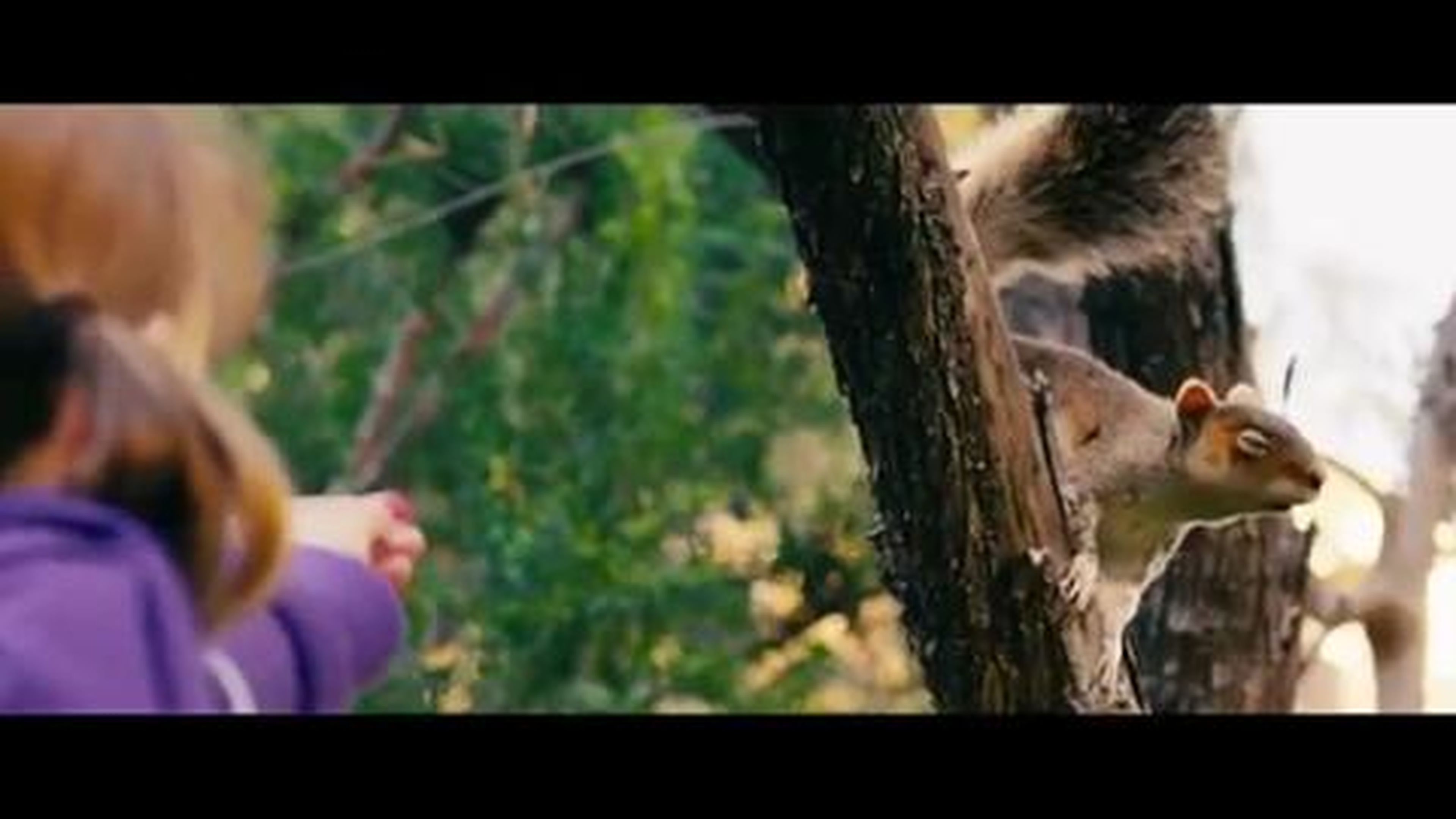 Squirrels - Pre-production Sales Trailer