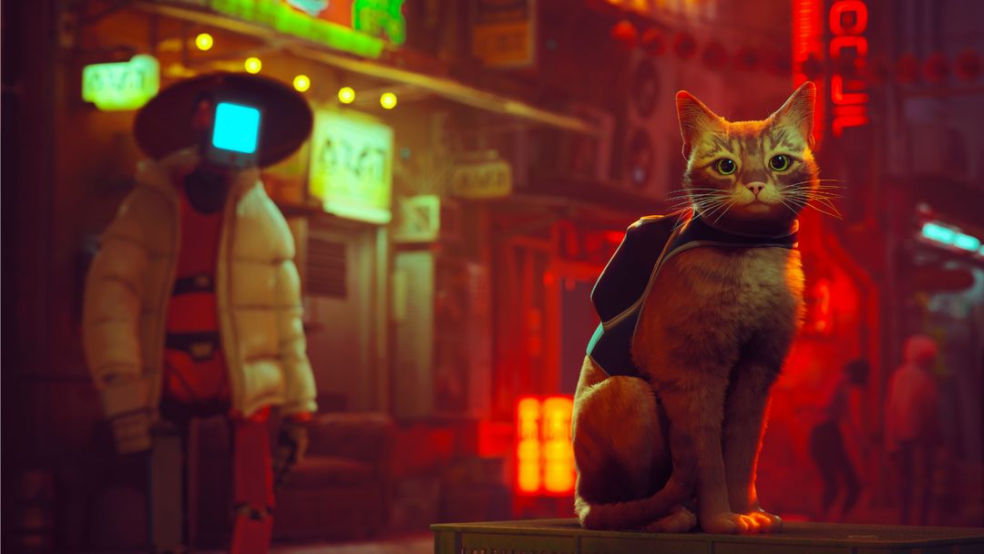 Impresiones De Stray El Juego Del Gato Ps4 Ps5 Y Pc