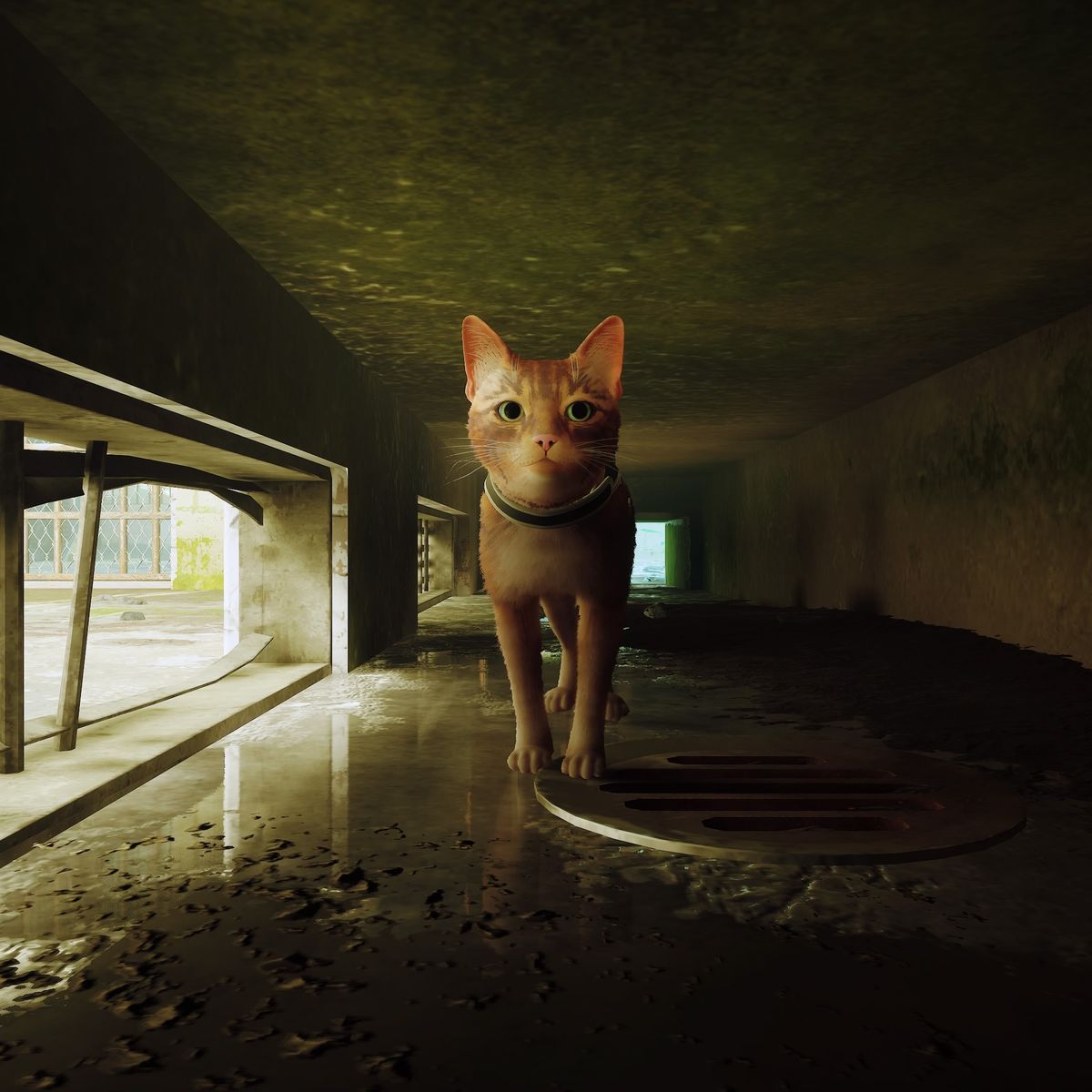 Stray: novo mod permite ter gatos personalizados dentro do jogo