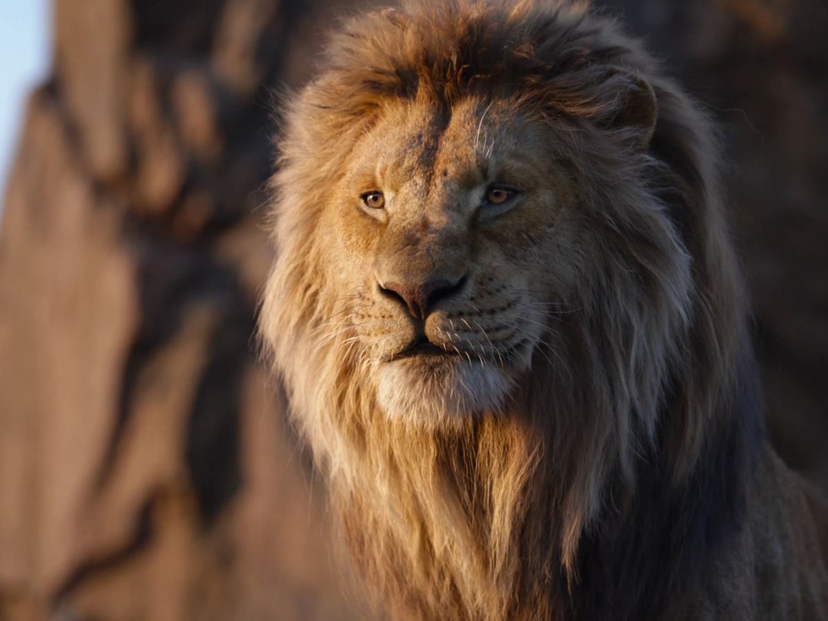 Ya casi ha terminado el rodaje de Mufasa, la precuela de El rey león