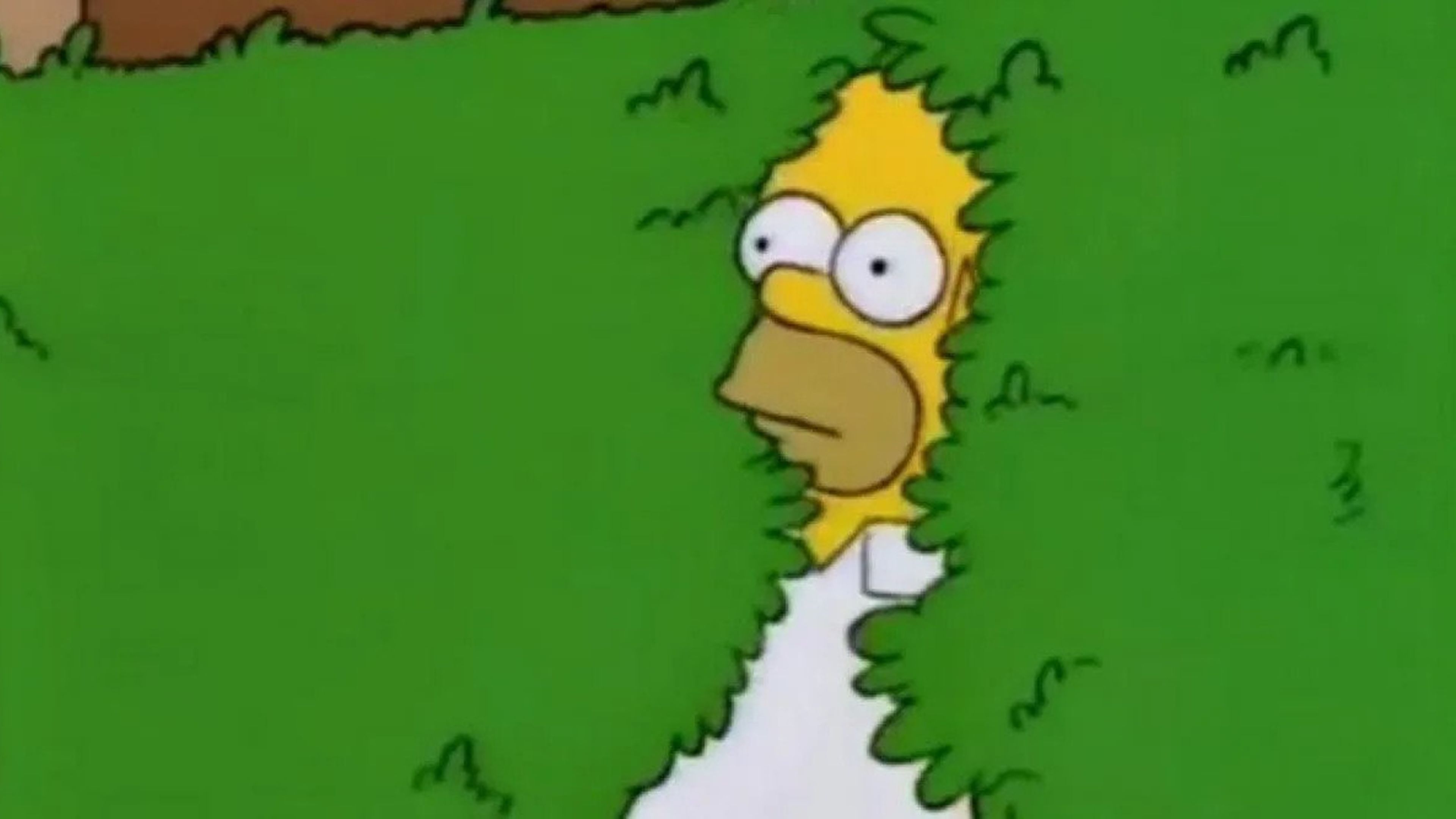 Homer y el meme del arbusto en Los Simpson
