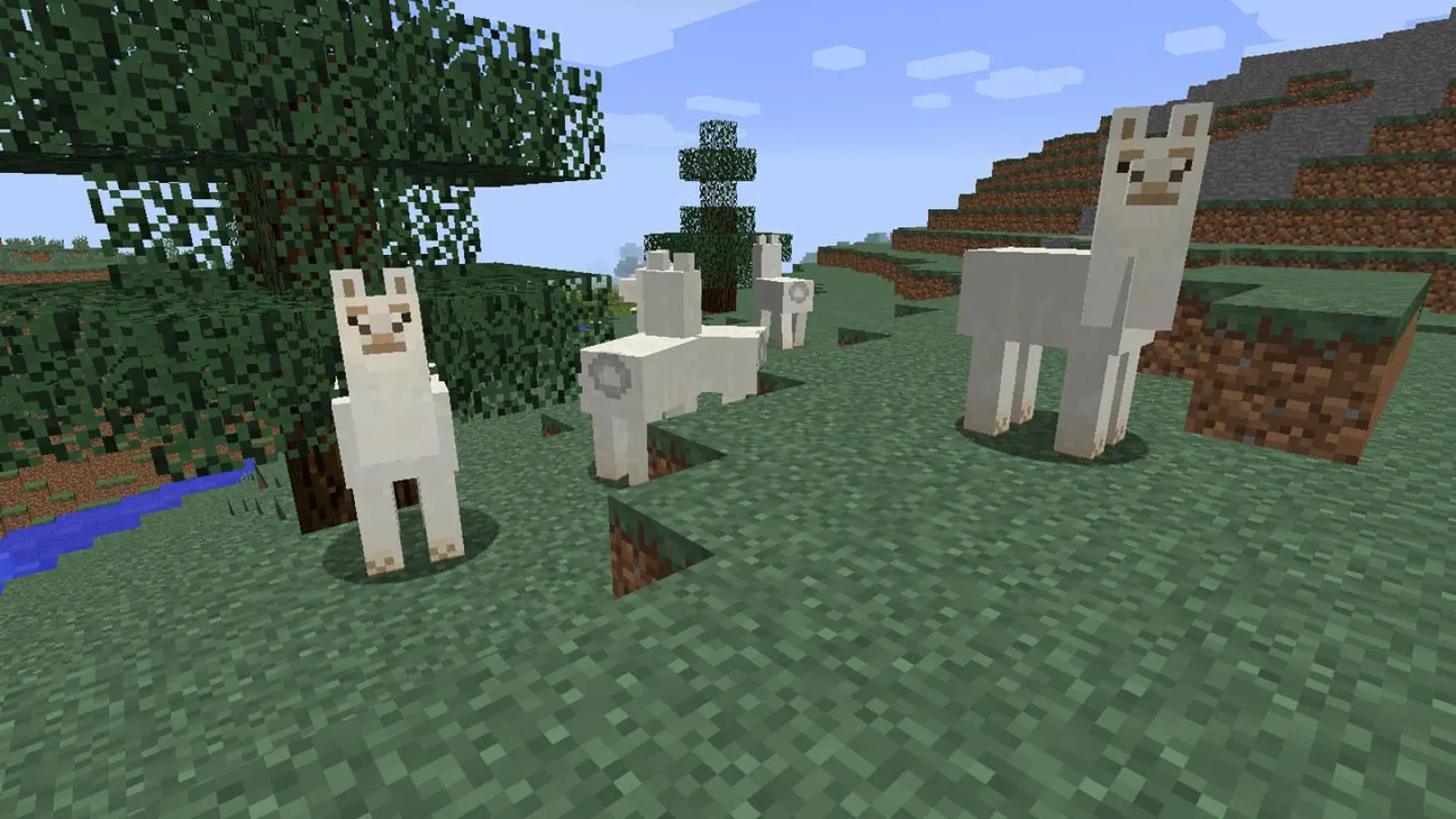 Minecraft llamas