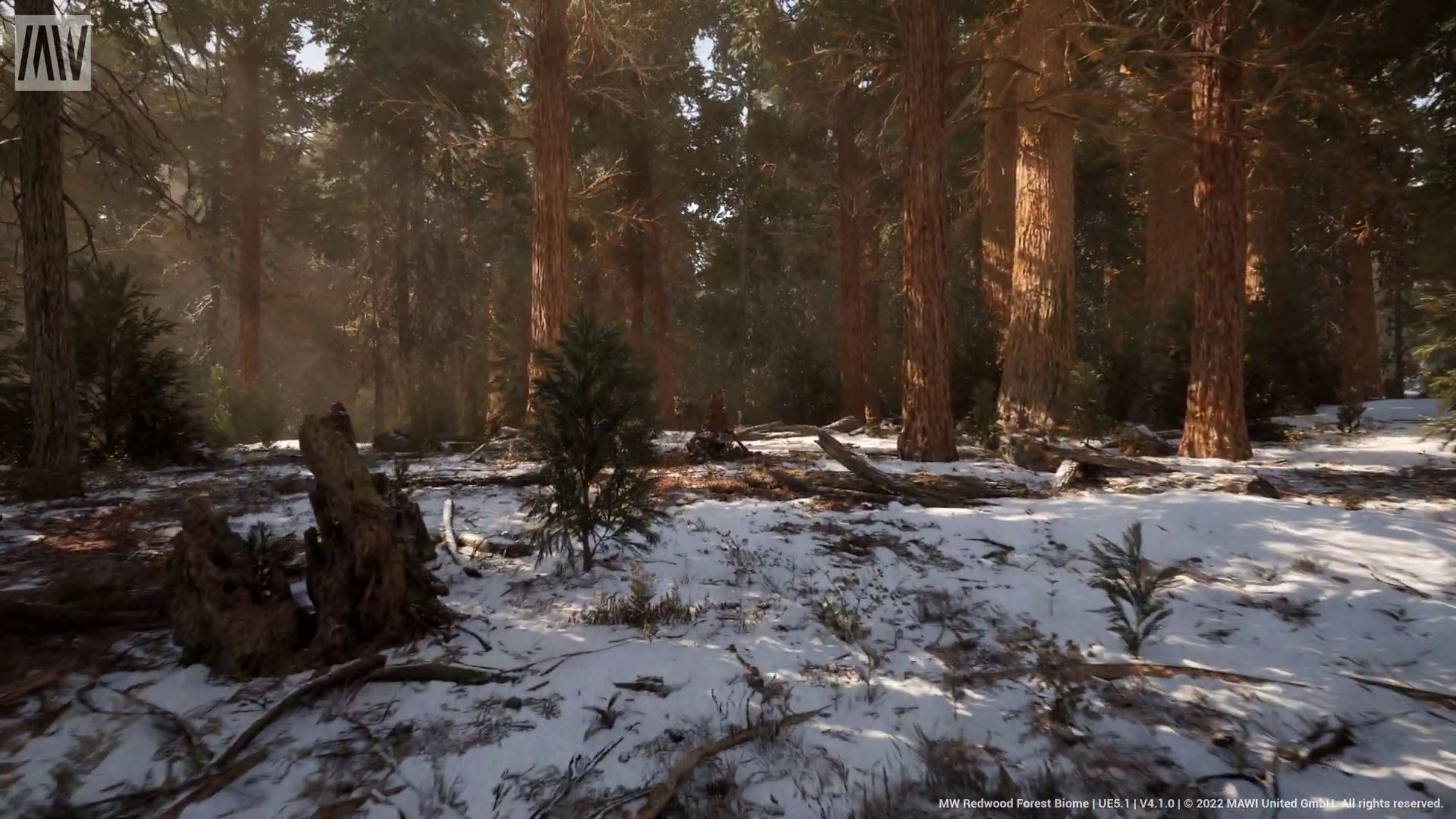 Unreal Engine 5.1 Nanite Redwood Forest