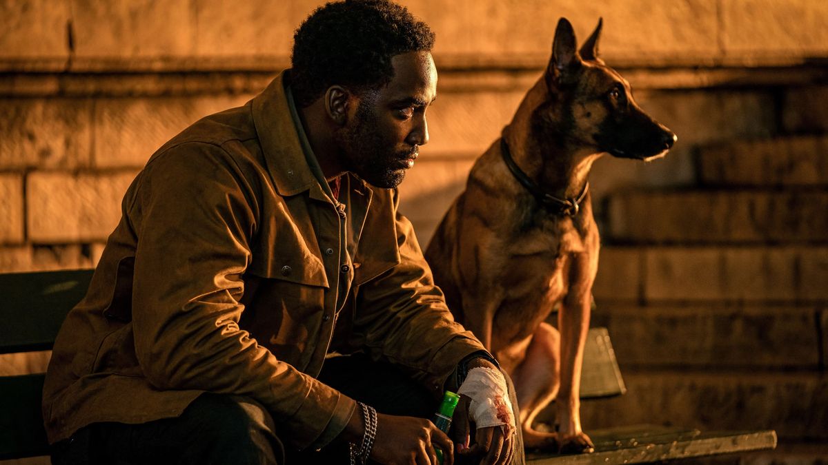 que perro esta en john wick 3