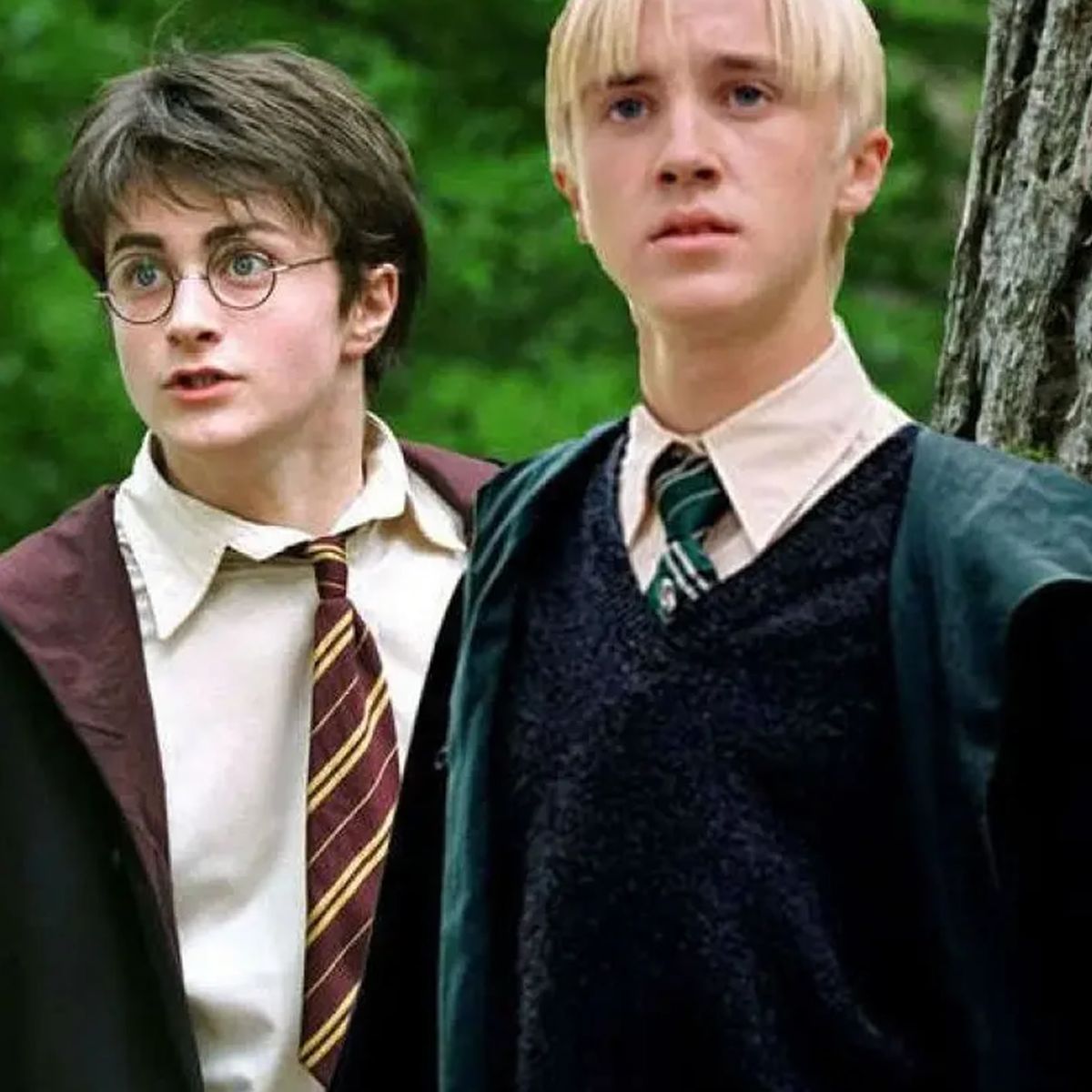 Harry y Draco podrían tener lazos de sangre en Harry Potter