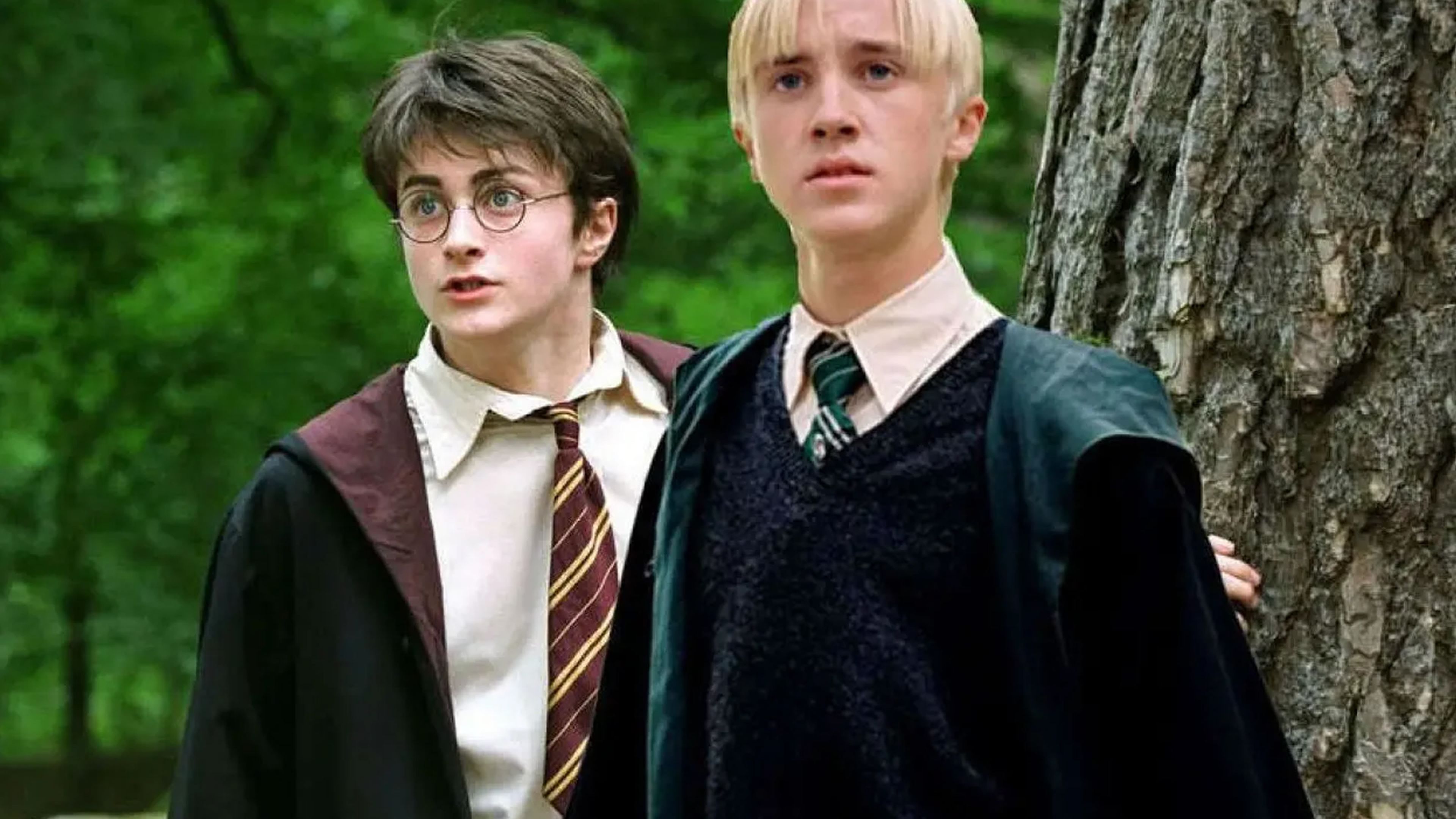 Harry Potter (Daniel Radcliffe) y Draco Malfoy (Tom Felton)