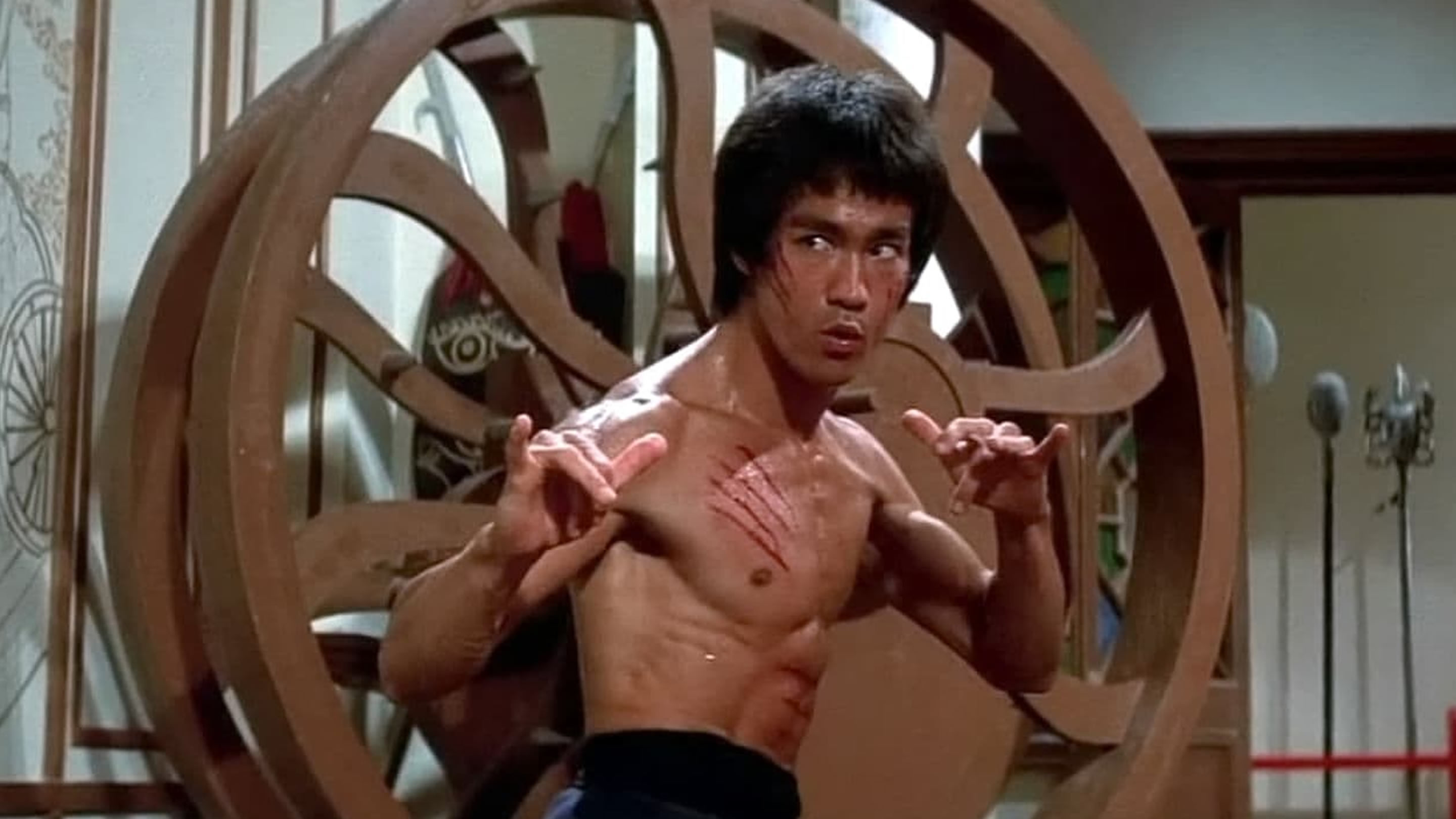 Hbo best sale bruce lee