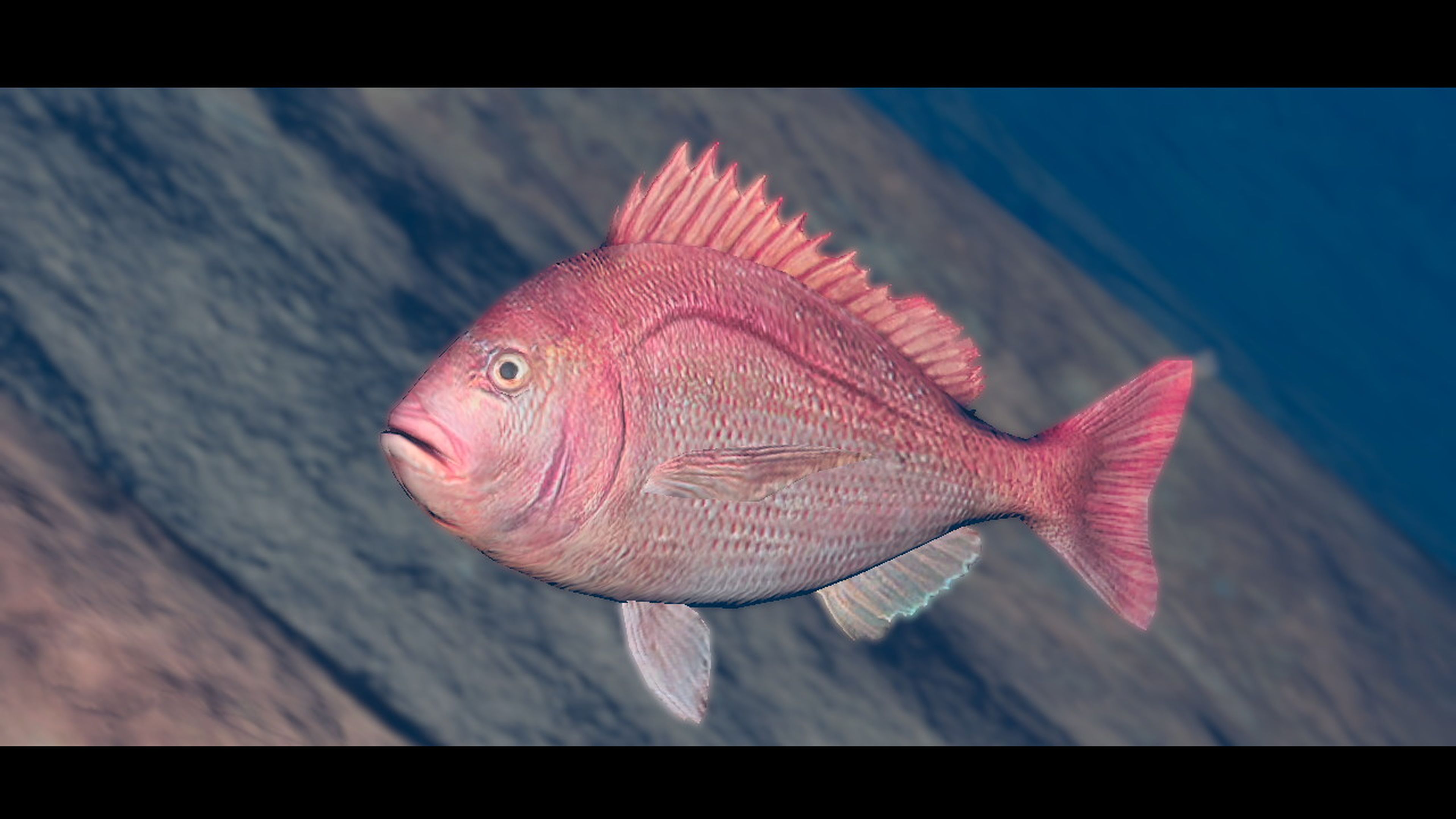 Endless Ocean Luminous - peces