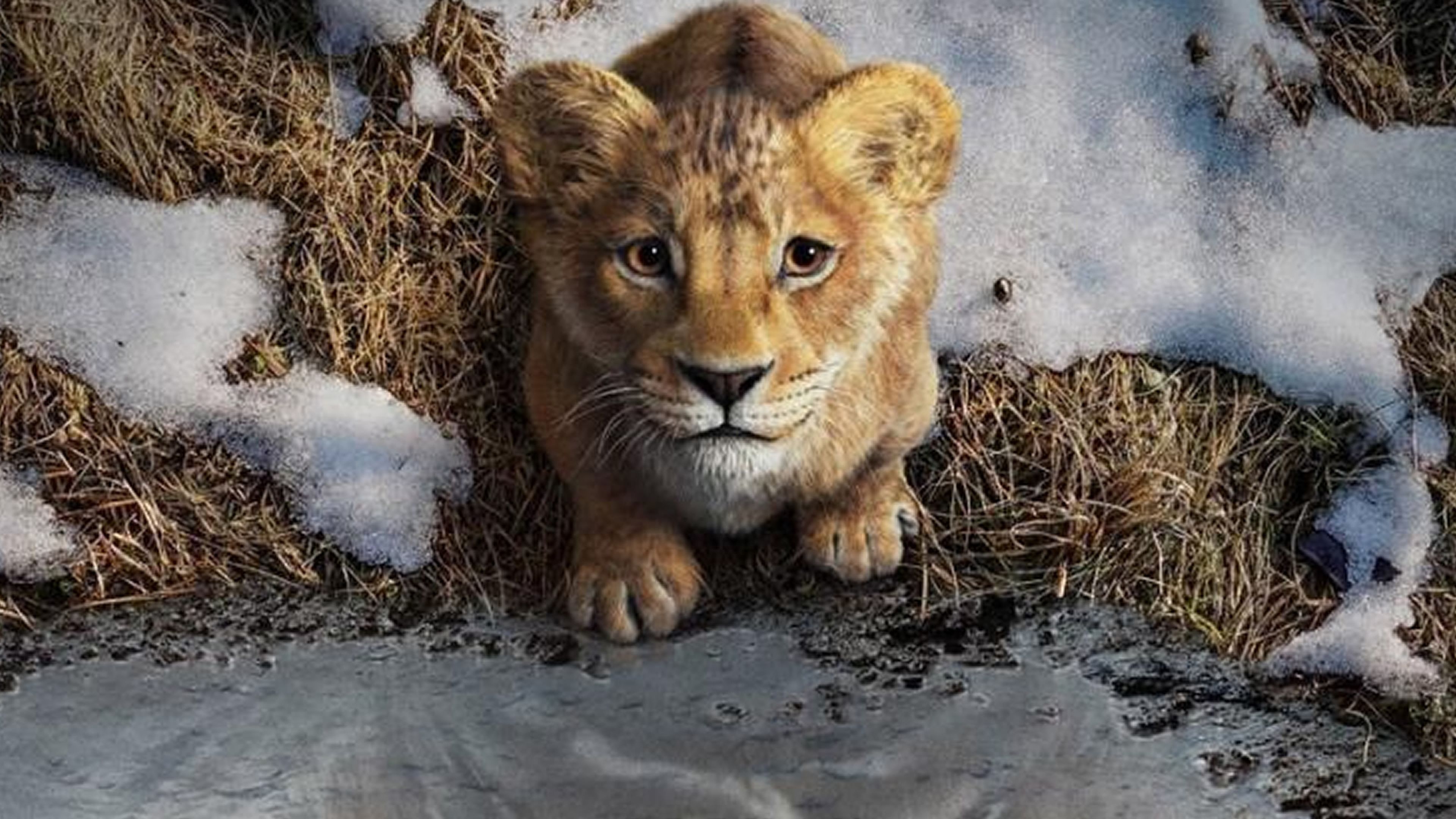 Mufasa: El rey león (2024)