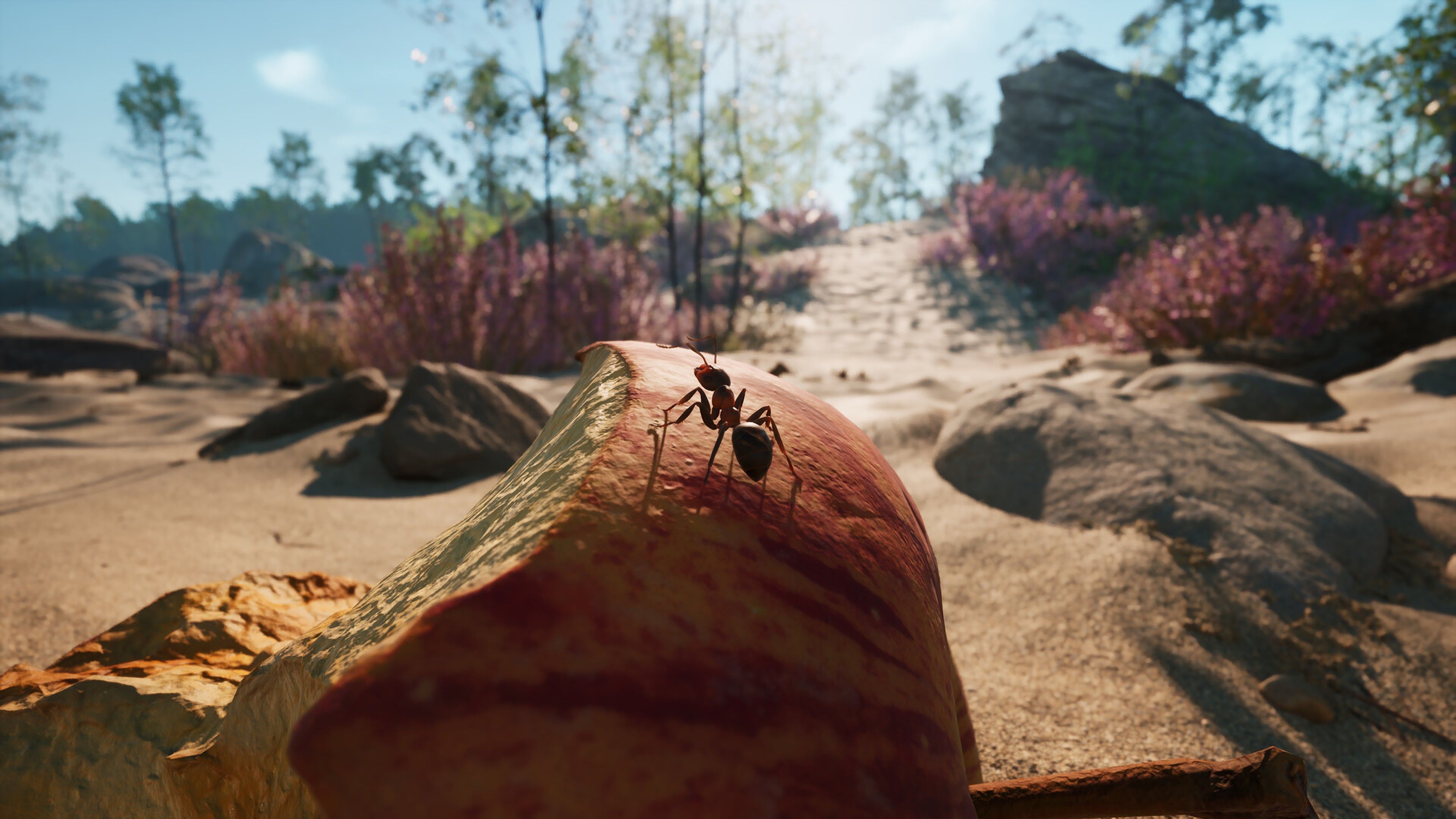 Empire of the Ants, the photorealistic strategy game whose insects look