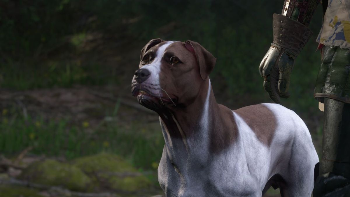 Cómo conseguir un perro en Kingdom Come Deliverance 2