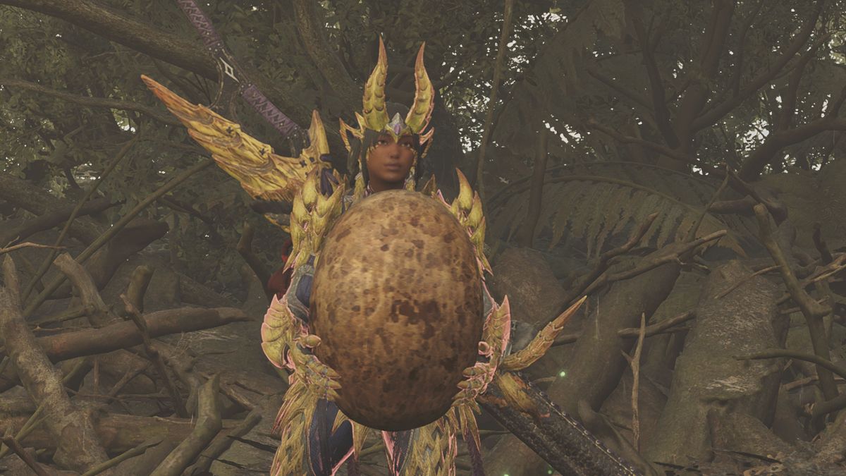 Cómo conseguir y entregar huevos de Wyvern en Monster Hunter Wilds y cuál es el mejor camino para hacerlo