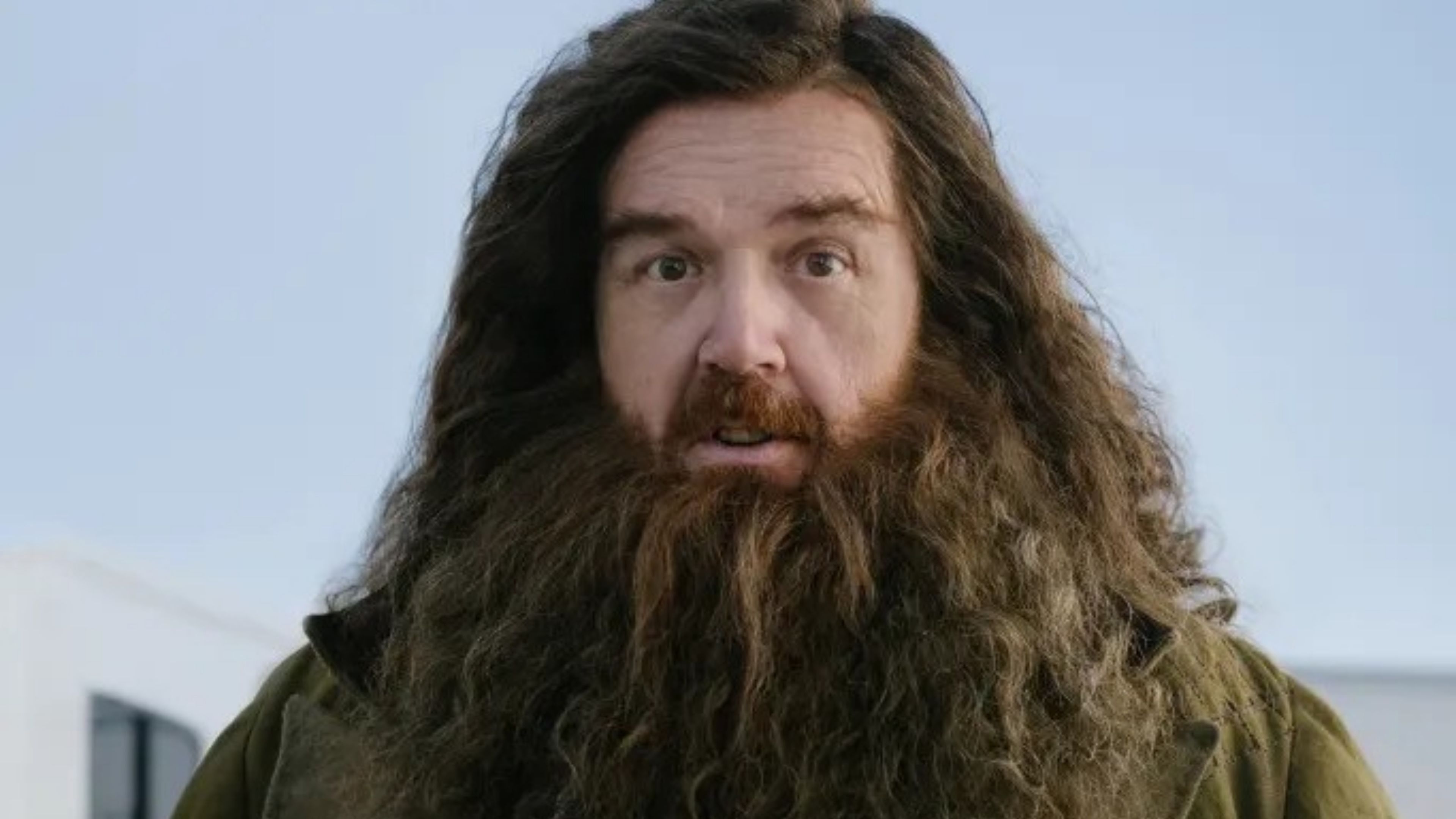 Nick Frost como Hagrid en la serie de Harry Potter