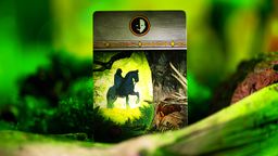 The Duel for Middle Earth