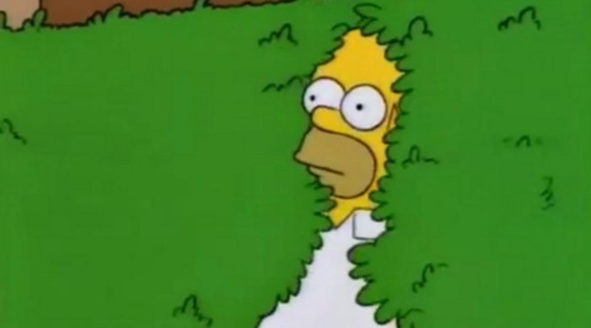 Los Simpson - Homer usa su propio "meme del arbusto" en la serie |  Hobbyconsolas