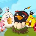 Angry Birds Angry Birds
