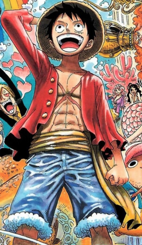 Top chicos One Piece